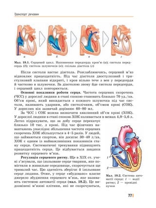Транспорт﻿ речовин
77
Після систоли настає діастола. Розслаблюючись, серцевий м’яз
відновлює працездатність. Під час діастоли двостулковий і три-
стулковий клапани відкриті, і кров вільно тече з вен у передсердя
й частково в шлуночки. За діастолою знову йде систола передсердя,
і серцевий цикл повторюється.
Основні показники роботи серця. Частота серцевих скорочень
(ЧСС) у дорослої людини в стані спокою становить близько 70 уд./хв.
Об’єм крові, який викидається з кожного шлуночка під час сис-
толи, називають ударним, або систолічним, об’ємом крові (СОК).
У дорослих він зазвичай дорівнює 60–80 мл.
За ЧСС і СОК можна визначити хвилинний об’єм крові (ХОК).
У дорослої людини в стані спокою ХОК коливається в межах 4,9–5,6 л.
Легко підрахувати, що за добу серце перекачує
близько 10 тис. л крові. Під час фізичних на-
вантажень унаслідок збільшення частоти серцевих
скорочень ХОК збільшується в 4–5 разів. У людей,
що займаються спортом, він досягає 30–40 л/хв.
ХОК є одним із найважливіших показників ста-
ну серця. Систематичні тренування підвищують
працездатність серця. Це відбувається завдяки
розвитку серцевого м’яза.
Регуляція серцевого ритму. Ще в XIX ст. уче-
ні з’ясували, що ізольоване серце тварини, яке по-
містили в живильне середовище, скорочується ще
тривалий час. Цю здатність зберігає й ізольоване
серце людини. Отже, у серце «вбудовано» власне
джерело збудження серцевого м’яза, яке назива-
ють системою автоматії серця (мал. 18.2). Це ви-
дозмінені м’язові клітини, які не скорочуються,
а б в г
Мал. 18.1. Серцевий цикл. Наповнення передсердь кров’ю (а); систола перед-
сердь (б); систола шлуночків (в); спільна діастола (г)
Мал. 18.2. Система авто-
матії серця: 1 — водії
ритму; 2 — провідні
пучки
1
2
 