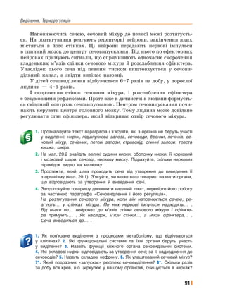Виділення.﻿ Терморегуляція
91
Наповнюючись сечею, сечовий міхур до певної межі розтягуєть-
ся. На розтягування реагують рецепторні нейрони, закінчення яких
містяться в його стінках. Ці нейрони передають нервові імпульси
в спинний мозок до центру сечовипускання. Від нього по ефекторних
нейронах прямують сигнали, що спричиняють одночасне скорочення
гладеньких м’язів стінки сечового міхура й розслаблення сфінктера.
Унаслідок цього сеча під певним тиском виштовхується у сечови-
дільний канал, а звідти витікає назовні.
У дітей сечовиділення відбувається 6–7 разів на добу, у дорослої
людини — 4–6 разів.
І скорочення стінок сечового міхура, і розслаблення сфінктера
є безумовними рефлексами. Проте вже в дитинстві в людини формуєть-
ся свідомий контроль сечовипускання. Центром сечовипускання почи-
нають керувати центри головного мозку. Тому людина може довільно
регулювати стан сфінктера, який відкриває отвір сечового міхура.
1. Проаналізуйте текст параграфа і з’ясуйте, які з органів не беруть участі
у виділенні: нирки, підшлункова залоза, сечоводи, бронхи, печінка, се-
човий міхур, сечівник, потові залози, стравохід, слинні залози, товста
кишка, шкіра.
2. На мал. 20.2 знайдіть великі судини нирки, оболонку нирки, її корковий
і мозковий шари, сечовід, ниркову миску. Підрахуйте, скільки ниркових
пірамідок видно на малюнку.
3. Простежте, який шлях проходить сеча від утворення до виведення її
з організму (мал. 20.1). З’ясуйте, чи може ваш товариш назвати органи,
що відповідають за утворення й виведення сечі.
4. Запропонуйте товаришу доповнити наданий текст, перевірте його роботу
за частиною параграфа «Сечовиділення і його регуляція».
На розтягування сечового міхура, коли він наповнюється сечею, ре-
агують… у стінках міхура. По них нервові імпульси надходять… .
Від нього по… нейронах до м’язів стінки сечового міхура і сфінкте-
ра прямують… . Як наслідок, м’язи стінки…, а м’язи сфінктера… .
Сеча виводиться до… .
1. Як пов’язане виділення з процесами метаболізму, що відбуваються
у клітинах? 2. Які функціональні системи та їхні органи беруть участь
у виділенні? 3. Назвіть функції кожного органа сечовидільної системи.
4. Які складові нирки відповідають за утворення сечі; за її надходження до
сечоводів? 5. Назвіть складові нефрону. 6. Як улаштований сечовий міхур?
7*. Який подразник «запускає» рефлекс сечовиділення? 8*. Скільки разів
за добу вся кров, що циркулює у вашому організмі, очищується в нирках?
 