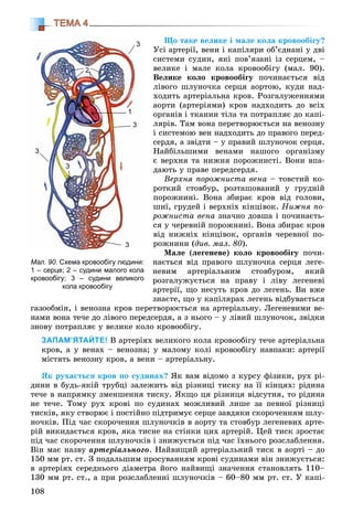 108
ТЕМА 4
Ùî òàêå âåëèêå і ìàëå êîëà êðîâîîáіãó?
Óñі àðòåðії, âåíè і êàïіëÿðè îá’єäíàíі ó äâі
ñèñòåìè ñóäèí, ÿêі ïîâ’ÿçàíі іç ñåðöåì, –
âåëèêå і ìàëå êîëà êðîâîîáіãó (ìàë. 90).
Âåëèêå êîëî êðîâîîáіãó ïî÷èíàєòüñÿ âіä
ëіâîãî øëóíî÷êà ñåðöÿ àîðòîþ, êóäè íàä-
õîäèòü àðòåðіàëüíà êðîâ. Ðîçãàëóæåííÿìè
àîðòè (àðòåðіÿìè) êðîâ íàäõîäèòü äî âñіõ
îðãàíіâ і òêàíèí òіëà òà ïîòðàïëÿє äî êàïі-
ëÿðіâ. Òàì âîíà ïåðåòâîðþєòüñÿ íà âåíîçíó
і ñèñòåìîþ âåí íàäõîäèòü äî ïðàâîãî ïåðåä-
ñåðäÿ, à çâіäòè – ó ïðàâèé øëóíî÷îê ñåðöÿ.
Íàéáіëüøèìè âåíàìè íàøîãî îðãàíіçìó
є âåðõíÿ òà íèæíÿ ïîðîæíèñòі. Âîíè âïà-
äàþòü ó ïðàâå ïåðåäñåðäÿ.
Âåðõíÿ ïîðîæíèñòà âåíà – òîâñòèé êî-
ðîòêèé ñòîâáóð, ðîçòàøîâàíèé ó ãðóäíіé
ïîðîæíèíі. Âîíà çáèðàє êðîâ âіä ãîëîâè,
øèї, ãðóäåé і âåðõíіõ êіíöіâîê. Íèæíÿ ïî-
ðîæíèñòà âåíà çíà÷íî äîâøà і ïî÷èíàєòü-
ñÿ ó ÷åðåâíіé ïîðîæíèíі. Âîíà çáèðàє êðîâ
âіä íèæíіõ êіíöіâîê, îðãàíіâ ÷åðåâíîї ïî-
ðîæíèíè (äèâ. ìàë. 80).
Ìàëå (ëåãåíåâå) êîëî êðîâîîáіãó ïî÷è-
íàєòüñÿ âіä ïðàâîãî øëóíî÷êà ñåðöÿ ëåãå-
íåâèì àðòåðіàëüíèì ñòîâáóðîì, ÿêèé
ðîçãàëóæóєòüñÿ íà ïðàâó і ëіâó ëåãåíåâі
àðòåðії, ùî íåñóòü êðîâ äî ëåãåíü. Âè âæå
çíàєòå, ùî ó êàïіëÿðàõ ëåãåíü âіäáóâàєòüñÿ
ãàçîîáìіí, і âåíîçíà êðîâ ïåðåòâîðþєòüñÿ íà àðòåðіàëüíó. Ëåãåíåâèìè âå-
íàìè âîíà òå÷å äî ëіâîãî ïåðåäñåðäÿ, à ç íüîãî – ó ëіâèé øëóíî÷îê, çâіäêè
çíîâó ïîòðàïëÿє ó âåëèêå êîëî êðîâîîáіãó.
ЗАПАМ’ЯТАЙТЕ! Â àðòåðіÿõ âåëèêîãî êîëà êðîâîîáіãó òå÷å àðòåðіàëüíà
êðîâ, à ó âåíàõ – âåíîçíà; ó ìàëîìó êîëі êðîâîîáіãó íàâïàêè: àðòåðії
ìіñòÿòü âåíîçíó êðîâ, à âåíè – àðòåðіàëüíó.
ßê ðóõàєòüñÿ êðîâ ïî ñóäèíàõ? ßê âàì âіäîìî ç êóðñó ôіçèêè, ðóõ ðі-
äèíè â áóäü-ÿêіé òðóáöі çàëåæèòü âіä ðіçíèöі òèñêó íà її êіíöÿõ: ðіäèíà
òå÷å â íàïðÿìêó çìåíøåííÿ òèñêó. ßêùî öÿ ðіçíèöÿ âіäñóòíÿ, òî ðіäèíà
íå òå÷å. Òîìó ðóõ êðîâі ïî ñóäèíàõ ìîæëèâèé ëèøå çà ïåâíîї ðіçíèöі
òèñêіâ, ÿêó ñòâîðþє і ïîñòіéíî ïіäòðèìóє ñåðöå çàâäÿêè ñêîðî÷åííÿì øëó-
íî÷êіâ. Ïіä ÷àñ ñêîðî÷åííÿ øëóíî÷êіâ â àîðòó òà ñòîâáóð ëåãåíåâèõ àðòå-
ðіé âèêèäàєòüñÿ êðîâ, ÿêà òèñíå íà ñòіíêè öèõ àðòåðіé. Öåé òèñê çðîñòàє
ïіä ÷àñ ñêîðî÷åííÿ øëóíî÷êіâ і çíèæóєòüñÿ ïіä ÷àñ їõíüîãî ðîçñëàáëåííÿ.
Âіí ìàє íàçâó àðòåðіàëüíîãî. Íàéâèùèé àðòåðіàëüíèé òèñê â àîðòі – äî
150 ìì ðò. ñò. Ç ïîäàëüøèì ïðîñóâàííÿì êðîâі ñóäèíàìè âіí çíèæóєòüñÿ:
â àðòåðіÿõ ñåðåäíüîãî äіàìåòðà éîãî íàéâèùі çíà÷åííÿ ñòàíîâëÿòü 110–
130 ìì ðò. ñò., à ïðè ðîçñëàáëåííі øëóíî÷êіâ – 60–80 ìì ðò. ñò. Ó êàïі-
Мал. 90. Схема кровообігу людини:
1 – серце; 2 – судини малого кола
кровообігу; 3 – судини великого
кола кровообігу
1
3
2
3
3
3
3
 