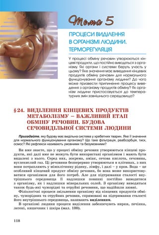 118
§24. ÂÈÄІËÅÍÍß ÊІÍÖÅÂÈÕ ÏÐÎÄÓÊÒІÂ
ÌÅÒÀÁÎËІÇÌÓ – ÂÀÆËÈÂÈÉ ÅÒÀÏ
ÎÁÌІÍÓ ÐÅ×ÎÂÈÍ. ÁÓÄÎÂÀ
ÑÅ×ÎÂÈÄІËÜÍÎЇ ÑÈÑÒÅÌÈ ËÞÄÈÍÈ
Пригадайте, яку будову має видільна система у хребетних тварин. Яке її значення
для нормального функціонування організму? Що таке фільтрація, реабсорбція, тиск,
осмос? Які рефлекси називають умовними та безумовними?
Âè âæå çíàєòå, ùî ó ïðîöåñі îáìіíó ðå÷îâèí óòâîðþþòüñÿ êіíöåâі ïðî-
äóêòè, ÿêі äàëі âæå íå ìîæóòü áóòè âèêîðèñòàíі îðãàíіçìîì і ìàþòü áóòè
âèäàëåíі ç íüîãî. Ñåðåä íèõ, çîêðåìà, àìіàê, ñå÷îâà êèñëîòà, ñå÷îâèíà,
âóãëåêèñëèé ãàç. Öі ðå÷îâèíè áåçïåðåðâíî óòâîðþþòüñÿ â êëіòèíàõ, ç íèõ
âîíè ïîòðàïëÿþòü ó ìіæêëіòèííó ðіäèíó, ëіìôó, і äàëі – ó êðîâ. Âîäà – öå
îñîáëèâèé êіíöåâèé ïðîäóêò îáìіíó ðå÷îâèí, áî âîíà ìîæå âèêîðèñòîâó-
âàòèñÿ îðãàíіçìîì äëÿ éîãî ïîòðåá. Àëå äëÿ ïіäòðèìàííÿ ñòàëîñòі âíó-
òðіøíüîãî ñåðåäîâèùà її íàäëèøêè ïîâèííі ïîñòіéíî âèâîäèòèñÿ
ç îðãàíіçìó, ÿê і íàäëèøêè ìіíåðàëüíèõ ñîëåé. Ç îðãàíіçìó âèâîäÿòüñÿ
òàêîæ áóäü-ÿêі ÷óæîðіäíі òà îòðóéíі ðå÷îâèíè, ùî íàäіéøëè ççîâíі.
Ôіçіîëîãі÷íі ïðîöåñè çâіëüíåííÿ îðãàíіçìó âіä êіíöåâèõ ïðîäóêòіâ îáìі-
íó, ÷óæîðіäíèõ òà îòðóéíèõ ðå÷îâèí, ñïðÿìîâàíі íà ïіäòðèìàííÿ ñòàëîñòі
éîãî âíóòðіøíüîãî ñåðåäîâèùà, íàçèâàþòü âèäіëåííÿì.
Â îðãàíіçìі ëþäèíè ïðîöåñè âèäіëåííÿ çàáåçïå÷óþòü íèðêè, ïå÷іíêà,
ëåãåíі, êèøå÷íèê і øêіðà (ìàë. 100).
Ó ïðîöåñі îáìіíó ðå÷îâèí óòâîðþþòüñÿ êіí-
öåâі ïðîäóêòè, ùî ïîñòіéíî âèâîäÿòüñÿ ç îðãà-
íіçìó. ßêі îðãàíè і ñèñòåìè áåðóòü ó÷àñòü ó
öüîìó? ßêå çíà÷åííÿ ìàє âèâåäåííÿ êіíöåâèõ
ïðîäóêòіâ îáìіíó ðå÷îâèí äëÿ íîðìàëüíîãî
ôóíêöіîíóâàííÿ îðãàíіçìó ëþäèíè? Äî ÷îãî
ìîæå ïðèçâåñòè ïðèïèíåííÿ ïðîöåñó âèâå-
äåííÿ ç îðãàíіçìó ïðîäóêòіâ îáìіíó? ßê îðãà-
íіçì ëþäèíè ïðèñòîñîâóєòüñÿ äî òåìïåðà-
òóðíèõ çìіí çîâíіøíüîãî ñåðåäîâèùà?
Òåìà 5
ÏÐÎÖÅÑÈ ÂÈÄІËÅÍÍßÏÐÎÖÅÑÈ ÂÈÄІËÅÍÍß
Â ÎÐÃÀÍІÇÌІ ËÞÄÈÍÈ.Â ÎÐÃÀÍІÇÌІ ËÞÄÈÍÈ.
ÒÅÐÌÎÐÅÃÓËßÖІßÒÅÐÌÎÐÅÃÓËßÖІß
 
