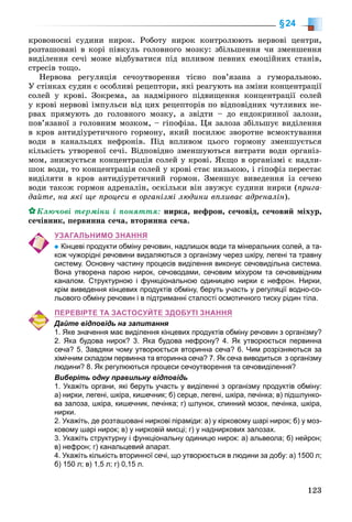 123
§24
êðîâîíîñíі ñóäèíè íèðîê. Ðîáîòó íèðîê êîíòðîëþþòü íåðâîâі öåíòðè,
ðîçòàøîâàíі â êîðі ïіâêóëü ãîëîâíîãî ìîçêó: çáіëüøåííÿ ÷è çìåíøåííÿ
âèäіëåííÿ ñå÷і ìîæå âіäáóâàòèñÿ ïіä âïëèâîì ïåâíèõ åìîöіéíèõ ñòàíіâ,
ñòðåñіâ òîùî.
Íåðâîâà ðåãóëÿöіÿ ñå÷îóòâîðåííÿ òіñíî ïîâ’ÿçàíà ç ãóìîðàëüíîþ.
Ó ñòіíêàõ ñóäèí є îñîáëèâі ðåöåïòîðè, ÿêі ðåàãóþòü íà çìіíè êîíöåíòðàöії
ñîëåé ó êðîâі. Çîêðåìà, çà íàäìіðíîãî ïіäâèùåííÿ êîíöåíòðàöії ñîëåé
ó êðîâі íåðâîâі іìïóëüñè âіä öèõ ðåöåïòîðіâ ïî âіäïîâіäíèõ ÷óòëèâèõ íå-
ðâàõ ïðÿìóþòü äî ãîëîâíîãî ìîçêó, à çâіäòè – äî åíäîêðèííîї çàëîçè,
ïîâ’ÿçàíîї ç ãîëîâíèì ìîçêîì, – ãіïîôіçà. Öÿ çàëîçà çáіëüøóє âèäіëåííÿ
â êðîâ àíòèäіóðåòè÷íîãî ãîðìîíó, ÿêèé ïîñèëþє çâîðîòíå âñìîêòóâàííÿ
âîäè â êàíàëüöÿõ íåôðîíіâ. Ïіä âïëèâîì öüîãî ãîðìîíó çìåíøóєòüñÿ
êіëüêіñòü óòâîðåíîї ñå÷і. Âіäïîâіäíî çìåíøóþòüñÿ âèòðàòè âîäè îðãàíіç-
ìîì, çíèæóєòüñÿ êîíöåíòðàöіÿ ñîëåé ó êðîâі. ßêùî â îðãàíіçìі є íàäëè-
øîê âîäè, òî êîíöåíòðàöіÿ ñîëåé ó êðîâі ñòàє íèçüêîþ, і ãіïîôіç ïåðåñòàє
âèäіëÿòè â êðîâ àíòèäіóðåòè÷íèé ãîðìîí. Çìåíøóє âèâåäåííÿ іç ñå÷åþ
âîäè òàêîæ ãîðìîí àäðåíàëіí, îñêіëüêè âіí çâóæóє ñóäèíè íèðêè (ïðèãà-
äàéòå, íà ÿêі ùå ïðîöåñè â îðãàíіçìі ëþäèíè âïëèâàє àäðåíàëіí).
Êëþ÷îâі òåðìіíè і ïîíÿòòÿ: íèðêà, íåôðîí, ñå÷îâіä, ñå÷îâèé ìіõóð,
ñå÷іâíèê, ïåðâèííà ñå÷à, âòîðèííà ñå÷à.
УЗАГАЛЬНИМО ЗНАННЯ
Кінцеві продукти обміну речовин, надлишок води та мінеральних солей, а та-
кож чужорідні речовини видаляються з організму через шкіру, легені та травну
систему. Основну частину процесів виділення виконує сечовидільна система.
Вона утворена парою нирок, сечоводами, сечовим міхуром та сечовивідним
каналом. Структурною і функціональною одиницею нирки є нефрон. Нирки,
крім виведення кінцевих продуктів обміну, беруть участь у регуляції водно-со-
льового обміну речовин і в підтриманні сталості осмотичного тиску рідин тіла.
ПЕРЕВІРТЕ ТА ЗАСТОСУЙТЕ ЗДОБУТІ ЗНАННЯ
Дайте відповідь на запитання
1. Яке значення має виділення кінцевих продуктів обміну речовин з організму?
2. Яка будова нирок? 3. Яка будова нефрону? 4. Як утворюється первинна
сеча? 5. Завдяки чому утворюється вторинна сеча? 6. Чим розрізняються за
хімічним складом первинна та вторинна сеча? 7. Як сеча виводиться з організму
людини? 8. Як регулюються процеси сечоутворення та сечовиділення?
Виберіть одну правильну відповідь
1. Укажіть органи, які беруть участь у виділенні з організму продуктів обміну:
а) нирки, легені, шкіра, кишечник; б) серце, легені, шкіра, печінка; в) підшлунко-
ва залоза, шкіра, кишечник, печінка; г) шлунок, спинний мозок, печінка, шкіра,
нирки.
2. Укажіть, де розташовані ниркові піраміди: а) у кірковому шарі нирок; б) у моз-
ковому шарі нирок; в) у нирковій мисці; г) у надниркових залозах.
3. Укажіть структурну і функціональну одиницю нирок: а) альвеола; б) нейрон;
в) нефрон; г) канальцевий апарат.
4. Укажіть кількість вторинної сечі, що утворюється в людини за добу: а) 1500 л;
б) 150 л; в) 1,5 л; г) 0,15 л.
 