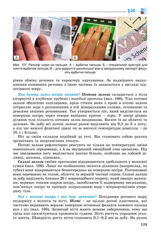 129
§26
ðіâíÿ îáìіíó ðå÷îâèí òà õàðàêòåðó õàð÷óâàííÿ. Çà íàäìіðíîãî íàäõî-
äæåííÿ ïîæèâíèõ ðå÷îâèí ç їæåþ ÷àñòèíà їõ çàïàñàєòüñÿ ó âèãëÿäі ïіä-
øêіðíîãî æèðó.
ßêà áóäîâà çàëîç øêіðè ëþäèíè? Ïîòîâà çàëîçà ñêëàäàєòüñÿ ç òіëà
(çãîðíóòîї â êëóáî÷îê òðóáêè) і âèâіäíîї ïðîòîêè (ìàë. 106). Òіëî ïîòîâîї
çàëîçè îáïëåòåíå êàïіëÿðàìè, êðіçü ñòіíêè ÿêèõ ç êðîâі â ïîòîâі çàëîçè
ïîòðàïëÿє âîäà ç ðîç÷èíåíèìè â íіé ìіíåðàëüíèìè ñîëÿìè, ñå÷îâèíîþ òà
äåÿêèìè іíøèìè ðå÷îâèíàìè. Òàê óòâîðþєòüñÿ ïіò, ÿêèé âèäіëÿєòüñÿ íà
ïîâåðõíþ øêіðè ÷åðåç îòâîðè âèâіäíèõ ïðîòîê – ïîðè. Ó øêіðі ðіçíèõ
äіëÿíîê òіëà êіëüêіñòü ïîòîâèõ çàëîç íåîäíàêîâà. Áàãàòî їõ íà îáëè÷÷і òà
äîëîíÿõ. Çà äîáó âñі ïîòîâі çàëîçè ðàçîì âèäіëÿþòü âіä 0,5 äî 3 ë ïîòó,
à ïіä ÷àñ âàæêîї ôіçè÷íîї ïðàöі ÷è çà âèñîêîї òåìïåðàòóðè äîâêіëëÿ – äî
10 ë і áіëüøå.
Ïіò çà ñâîїì ñêëàäîì ïîäіáíèé äî ñå÷і. Âіí ñòàíîâèòü ñîáîþ ðîç÷èí
îðãàíі÷íèõ òà íåîðãàíі÷íèõ ñïîëóê.
Ïîòîâі çàëîçè ðåôëåêòîðíî ðåàãóþòü íå òіëüêè íà òåìïåðàòóðíі çìіíè
çîâíіøíüîãî ñåðåäîâèùà, à é íà âíóòðіøíіé åìîöіéíèé ñòàí îðãàíіçìó. Ïіä
÷àñ õâèëþâàííÿ ïîòó âèäіëÿєòüñÿ çíà÷íî áіëüøå, îñîáëèâî íà ëîáîâіé äі-
ëÿíöі, äîëîíÿõ, ïіäîøâàõ.
Ñàëüíі çàëîçè ñâîїìè ïðîòîêàìè âіäêðèâàþòüñÿ çäåáіëüøîãî ó âîëîñÿíі
ñóìêè (ìàë. 106). Ëèøå íà ïîçáàâëåíèõ âîëîññÿ äіëÿíêàõ (íàïðèêëàä, íà
ãóáàõ) âîíè âіäêðèâàþòüñÿ áåçïîñåðåäíüî íà ïîâåðõíþ øêіðè. Ðîçòàøîâàíі
âîíè ïåðåâàæíî íà ãîëîâі, îáëè÷÷і òà âåðõíіé ÷àñòèíі ñïèíè. Ñàëüíі çàëîçè
çà äîáó âèäіëÿþòü áëèçüêî 20 ã æèðîïîäіáíîãî ñåêðåòó, ÿêèé çìàùóє âîëîñè-
íè, âêðèâàє òîíêèì øàðîì øêіðó, çàïîáіãàþ÷è її íàäìіðíîìó âèñèõàííþ,
ïîì’ÿêøóє øêіðó òà ïðîòèäіє ïîòðàïëÿííþ âîäè і ìіêðîîðãàíіçìіâ óñåðå-
äèíó òіëà.
ßêі є ïîõіäíі øêіðè і ÿêå їõíє çíà÷åííÿ? Ïîõіäíèìè ðîãîâîãî øàðó
åïіäåðìіñó є âîëîññÿ òà íіãòі. Íіãòі – öå ùіëüíі ðîãîâі ïëàñòèíêè, ÿêі
÷àñòêîâî âêðèâàþòü âåðõíþ ïîâåðõíþ îñòàííüîї ôàëàíãè êîæíîãî ïàëüöÿ
ðóê і íіã (ìàë. 108). Çàçâè÷àé íіãòі ìàþòü ðîæåâå çàáàðâëåííÿ, òîìó ùî
êðіçü íèõ ïðîñâі÷óþòüñÿ êðîâîíîñíі ñóäèíè. Íіãòі ðîñòóòü óïðîäîâæ óñüî-
ãî æèòòÿ. Øâèäêіñòü ðîñòó íіãòÿ ñòàíîâèòü 0,1–0,2 ìì çà äîáó. Íà ðóêàõ
Мал. 107. Рельєф шкіри на пальцях: А – відбитки пальців; Б – спеціальний пристрій для
зняття відбитків пальців; В – для відкриття шенгенської візи в закордонному паспорті фіксу-
ють відбитки пальців
А Б В
 