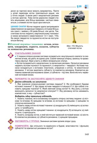 143
§28
діння за партою) вони можуть викривитись. Проте
у дітей переломи кісток трапляються рідше, ніж
у літніх людей. З віком уміст неорганічних речовин
у кістках зростає. Тому кістки дорослих людей ста-
ють міцнішими, але більш крихкими, частіше лама-
ються, а зламані кістки гірше зростаються.
ЦІКАВО ЗНАТИ! Кістки людини здатні витримувати
навантаження на одиницю поверхні у 2,5 раза більші,
ніж граніт, і майже у 30 разів більші, ніж цегла. Так,
стегнова кістка людини у вертикальному положен-
ні може витримати навантаження 1,5 т (мал. 116).
За своєю твердістю та пружністю кістки не поступа-
ються бетону.
Êëþ÷îâі òåðìіíè і ïîíÿòòÿ: îñòåîí, îñòåî-
öèòè, õîíäðîöèòè, îõðÿñòÿ, êîëàãåí, ãóá÷àñòà
òà êîìïàêòíà ðå÷îâèíà.
УЗАГАЛЬНИМО ЗНАННЯ
У людини опорно-рухова система складається з внутрішнього скелета та ске-
летних м’язів, які діють як єдине ціле. Скелет виконує опорну, захисну та крово-
твірну функції, бере участь в обміні мінеральних сполук.
Кістки складаються з неорганічних та органічних речовин. Органічні речовини
надають кісткам гнучкості та пружності, а неорганічні – твердості. Кісткова тка-
нина складається з кісткових пластинок, утворених з клітин, та міжклітинної
речовини. У кістках виділяють губчасту та компактну речовину. Компактна ре-
човина зазвичай розташована ззовні, а губчаста – під нею. Вона містить черво-
ний кістковий мозок.
ПЕРЕВІРТЕ ТА ЗАСТОСУЙТЕ ЗДОБУТІ ЗНАННЯ
Дайте відповідь на запитання
1. Яке значення опорно-рухової системи людини? 2. Які особливості будови
кісткової тканини? 3. Що надає кісткам твердості й міцності? 4. Що собою ста-
новить хрящова тканина? 5. Який хімічний склад кісток? 6. Яку роль у кістках
виконують органічні та неорганічні сполуки? 7. Яку речовину кісток називають
компактною, а яку – губчастою?
Виберіть одну правильну відповідь
1. Укажіть тканини, які в основному складають опорну систему людини: а) кіст-
кова та м’язова; б) хрящова та м’язова; в) кісткова та хрящова; г) хрящова та
сполучна волокниста.
2. Укажіть назву клітин кісткової тканини: а) хондроцити; б) лейкоцити; в) остео-
цити; г) тромбоцити.
3. Укажіть назву клітин хрящової тканини: а) хондроцити; б) остеоцити; в) лей-
коцити; г) еритроцити.
4. Укажіть складову кістки, в якій містяться червоний кістковий мозок: а) окістя;
б) компактна речовина; в) губчаста речовина; г) хрящові прошарки.
ОБГОВОРІТЬ У ГРУПАХ. Значення системи органів опори і руху.
ПОМІРКУЙТЕ. Що спільного та відмінного в будові, властивостях і функціях
губчастої та компактної речовини кісток?
Мал. 116. Міцність
стегнової кістки
1,5 т
 