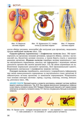 16
ВСТУП
äóêòè îáìіíó ðå÷îâèí, íåïîòðіáíі àáî øêіäëèâі äëÿ îðãàíіçìó, âèäàëÿþòü
îðãàíè âèäіëüíîї ñèñòåìè (ìàë. 15).
Ñåðöåâî-ñóäèííà (êðîâîíîñíà) і ëіìôàòè÷íà ñèñòåìè (ìàë. 16) òðàíñ-
ïîðòóþòü ïî îðãàíіçìó ïîæèâíі ðå÷îâèíè, ïðîäóêòè îáìіíó, êèñåíü і âóãëå-
êèñëèé ãàç, áіîëîãі÷íî àêòèâíі ñïîëóêè, à òàêîæ áåðóòü ó÷àñòü ó çàõèñíèõ
ðåàêöіÿõ îðãàíіçìó. Íåðâîâà ñèñòåìà ñïðèéìàє âïëèâè çîâíіøíüîãî і çìі-
íè âíóòðіøíüîãî ñåðåäîâèùà, àíàëіçóє öþ іíôîðìàöіþ і âіäïîâіäíî çìіíþє
äіÿëüíіñòü îðãàíіâ àáî ñèñòåì îðãàíіâ (ìàë. 17). Öі çìіíè ñïðÿìîâàíî íà çà-
áåçïå÷åííÿ íîðìàëüíîї äіÿëüíîñòі îðãàíіçìó, éîãî ôóíêöіîíàëüíîї єäíîñòі.
Ðîçðіçíÿþòü öåíòðàëüíó і ïåðèôåðè÷íó íåðâîâó ñèñòåìó.
Ñåíñîðíі ñèñòåìè ñïðèéìàþòü, àíàëіçóþòü і ïåðåðîáëÿþòü іíôîðìàöіþ
ïðî çìіíè íàâêîëèøíüîãî ñåðåäîâèùà òà âíóòðіøíüîãî ñòàíó îðãàíіçìó é
çàáåçïå÷óþòü çâ’ÿçîê îðãàíіçìó іç çîâíіøíіì ñåðåäîâèùåì. Ðîçðіçíÿþòü
òàêі îñíîâíі ñåíñîðíі ñèñòåìè: çîðîâó, ñëóõîâó, ñìàêîâó, íþõîâó, äîòèêî-
âó, ðіâíîâàãè (ìàë. 18).
ЦІКАВО ЗНАТИ! Вагомий внесок у розвиток досліджень нервової системи зробили
видатні українські фізіологи. Так, В.О. Бец відкрив велетенські пірамідальні нейрони
в корі півкуль головного мозку; В.В. Правдич-Неминський перший у світі зареєстрував
електричну активність головного мозку; П.Г. Костюк з’ясував роль Кальцію в активності
нейронів.
Мал. 18. Органи чуття – складові сенсорних систем: 1 – око (зорової); 2 – вухо (слухової);
3 – язик (смакової); 4 – ніс (нюхової); 5 – шкіра (шкірна чутливість)
1
42
3
5
Мал. 15. Видільна
система людини
Мал. 16. Кровоносна (1) і лімфа-
тична (2) системи людини
Мал. 17. Нервова
система людини
1
2
 