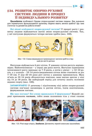 163
§34
§34. ÐÎÇÂÈÒÎÊ ÎÏÎÐÍÎ-ÐÓÕÎÂÎЇ
ÑÈÑÒÅÌÈ ËÞÄÈÍÈ Â ÏÐÎÖÅÑІ
ЇЇ ІÍÄÈÂІÄÓÀËÜÍÎÃÎ ÐÎÇÂÈÒÊÓ
Пригадайте особливості будови опорно-рухової системи людини. Яке значення
для нормального функціонування організму людини мають вигини хребта? Що таке
статична та динамічна робота м’язів?
ßêі âіêîâі îñîáëèâîñòі îïîðíî-ðóõîâîї ñèñòåìè? Ó ïðîöåñі ðîñòó і ðîç-
âèòêó ëþäèíè âіäáóâàþòüñÿ çíà÷íі çìіíè îïîðíî-ðóõîâîї ñèñòåìè. Òàê,
ó íåї ïîñòóïîâî ôîðìóþòüñÿ ÷îòèðè âèãèíè õðåáòà (ìàë. 132).
Мал. 132. Схема формування прямоходіння і вигинів хребта в пер-
ший рік життя дитини
Ïîñòóïîâî âіäáóâàєòüñÿ é ðіñò êіñòîê. Ó äîâæèíó êіñòêè ðîñòóòü íåðіâíî-
ìіðíî. Íàéіíòåíñèâíіøå – ó ïåðøі äâà ðîêè æèòòÿ. Íàñòóïíå ïіäâèùåííÿ
іíòåíñèâíîñòі ðîñòó ïðèïàäàє íà 7–8 ðîêіâ, à ïîòіì ó äіâ÷àò – ó 12–13 ðî-
êіâ, à ó õëîïöіâ – 13–14 ðîêіâ (âèäîâæåííÿ êіñòêè ìîæå ñòàíîâèòè çà ðіê
7–10 ñì). Ó âіöі 22–24 ðîêè ðіñò êіñòîê ó äîâæèíó ïðèïèíÿєòüñÿ. Ìàñà
ì’ÿçіâ äî 13–14 ðîêіâ çáіëüøóєòüñÿ ïîâіëüíî, âîíà çíà÷íî çðîñòàє ó âіöі
âіä 14 äî 16 ðîêіâ. Öå íàéêðàùèé ïåðіîä äëÿ ïî÷àòêó çàíÿòü ñèëîâèìè
âèäàìè ñïîðòó (ìàë. 133).
ЗАПАМ’ЯТАЙТЕ! Ó äèòÿ÷îìó і ïіäëіòêîâîìó âіöі çìіíè îïîðíî-ðóõîâîї
ñèñòåìè ïîâ’ÿçàíі íàñàìïåðåä іç ðîñòîì êіñòîê, їõíіì îêîñòåíіííÿì,
ôîðìóâàííÿì ïîñòàâè.
Ùî òàêå ïîñòàâà? ßêі óìîâè ïðàâèëüíîãî її ôîðìóâàííÿ? Êîæíіé ëþ-
äèíі ïðèòàìàííà ïîñòàâà, òîáòî ïåâíå ïîëîæåííÿ òіëà ó ñòàíі ñïîêîþ
Мал. 133. Різні види спорту. Завдання. Доповніть перелік власними прикладами
 
