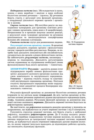 17
§3
Åíäîêðèííà ñèñòåìà (ìàë. 19) ñêëàäàєòüñÿ іç çàëîç,
êîæíà ç ÿêèõ âèðîáëÿє і âèäіëÿє â êðîâ îñîáëèâі
áіîëîãі÷íî àêòèâíі ðå÷îâèíè – ãîðìîíè. Öі ðå÷îâèíè
áåðóòü ó÷àñòü ó ðåãóëÿöії óñіõ ôóíêöіé îðãàíіçìó,
ó êîîðäèíàöії äіÿëüíîñòі îêðåìèõ îðãàíіâ і îðãàíіç-
ìó â öіëîìó.
Іìóííà ñèñòåìà (ìàë. 20) ïîñòіéíî ðåàãóє íà íàä-
õîäæåííÿ ÷óæîðіäíèõ äëÿ îðãàíіçìó õіìі÷íèõ ðå÷î-
âèí і æèâèõ îðãàíіçìіâ, ñåðåä ÿêèõ є é õâîðîáîòâîðíі.
Ïîòðàïëÿííÿ їõ â îðãàíіçì çàïóñêàє çàõèñíі ðåàêöії,
ó ðåçóëüòàòі ÿêèõ ÷óæîðіäíі îðãàíіçìè ÷è ðå÷îâèíè
ðîçïіçíàþòüñÿ òà çíåøêîäæóþòüñÿ ñïåöèôі÷íèìè
áіëêàìè àáî ïåâíèìè êëіòèíàìè.
Ñòàòåâà ñèñòåìà ñëóãóє äëÿ ðîçìíîæåííÿ ëþäèíè.à
Ðåãóëÿòîðíі ñèñòåìè îðãàíіçìó ëþäèíè. Â îðãàíіçìі
ëþäèíè äіÿëüíіñòü îêðåìèõ îðãàíіâ і ôіçіîëîãі÷íèõ
ñèñòåì і ïðîöåñіâ ïîñòіéíî ðåãóëþєòüñÿ. Çîêðåìà, çà ïî-
òðåáè їõíÿ äіÿëüíіñòü ïîñèëþєòüñÿ àáî ïîñëàáëþєòüñÿ;
óçãîäæóєòüñÿ äіÿ îðãàíіâ ç ðіçíèõ ôіçіîëîãі÷íèõ ñèñòåì.
Öå çàáåçïå÷óþòü ðåãóëÿòîðíі ñèñòåìè, íàñàìïåðåä –
íåðâîâà òà åíäîêðèííà. Äіÿëüíіñòü ðåãóëÿòîðíèõ
ñèñòåì ñïðÿìîâàíà íà ïіäòðèìàííÿ íåîáõіäíîї óìîâè
ôóíêöіîíóâàííÿ áóäü-ÿêîãî îðãàíіçìó – ãîìåîñòàçó.
ЗАПАМ’ЯТАЙТЕ! Ðåãóëÿöіÿ – çäàòíіñòü æèâèõ іñòîò
ïіäòðèìóâàòè ïåðåáіã ïåâíèõ ôіçіîëîãі÷íèõ ïðî-
öåñіâ і äіÿëüíîñòі öіëіñíîãî îðãàíіçìó çàëåæíî âіä
óìîâ çîâíіøíüîãî òà âíóòðіøíüîãî ñåðåäîâèùà.
Ãîìåîñòàç – âіäíîñíà ñòàëіñòü ñêëàäó òà âëàñòèâî-
ñòåé âíóòðіøíüîãî ñåðåäîâèùà îðãàíіçìó. Îñêіëüêè
ñòàëіñòü âíóòðіøíüîãî ñåðåäîâèùà ìîæå ïîðóøó-
âàòèñÿ, ïåâíі äèíàìі÷íі ïðîöåñè áåçïåðåðâíî âіä-
íîâëþþòü ãîìåîñòàç.
Ðåãóëÿöіÿ ôóíêöіé îðãàíіçìó çà äîïîìîãîþ áіîëîãі÷íî àêòèâíèõ ðå÷îâèí
(ãîðìîíіâ òà іí.) äіñòàëà íàçâó ãóìîðàëüíîї. Äî âñіõ ÷àñòèí îðãàíіçìó öі áіî-
ëîãі÷íî àêòèâíі ðå÷îâèíè ïåðåíîñÿòü ðіäèíè âíóòðіøíüîãî ñåðåäîâèùà (êðîâ,
ëіìôà, òêàíèííà ðіäèíà). Ðåãóëÿöіþ ôóíêöіé îðãàíіçìó çà äîïîìîãîþ íåð-
âîâîї ñèñòåìè íàçèâàþòü íåðâîâîþ. Äіÿëüíіñòü íåðâîâîї ñèñòåìè áàçóєòüñÿ íà
ðåôëåêòîðíîìó ïðèíöèïі.
Âè ïàì’ÿòàєòå, ùî ðåôëåêñîì íàçèâàþòü ðåàêöіþ îðãàíіçìó ó âіäïîâіäü íà
ïîäðàçíåííÿ, ùî âіäáóâàєòüñÿ çà ó÷àñòі íåðâîâîї ñèñòåìè і ïіä її êîíòðîëåì.
Ñóêóïíіñòü ñòðóêòóð íåðâîâîї ñèñòåìè, ÿêі áåðóòü ó÷àñòü ó çäіéñíåííі
ðåôëåêñó, íàçèâàþòü ðåôëåêòîðíîþ äóãîþ. Äî її ñêëàäó âõîäÿòü: ðåöåï-
òîð, ÿêèé ñïðèéìàє ïîäðàçíåííÿ; ÷óòëèâå íåðâîâå âîëîêíî, ïî ÿêîìó çáó-
äæåííÿ ïåðåäàєòüñÿ äî öåíòðàëüíîї ÷àñòèíè íåðâîâîї ñèñòåìè; íåðâîâèé
öåíòð, äå âіäáóâàєòüñÿ àíàëіç îòðèìàíîї іíôîðìàöії; ðóõîâå íåðâîâå âîëîê-
íî, ïî ÿêîìó íåðâîâі іìïóëüñè íàäõîäÿòü äî âіäïîâіäíèõ ðîáî÷èõ îðãàíіâ,
ùî âèêîíóþòü âіäïîâіäíó ôóíêöіþ.
Мал. 19. Ендокринна
система людини
Мал. 20. Імунна
система людини
 