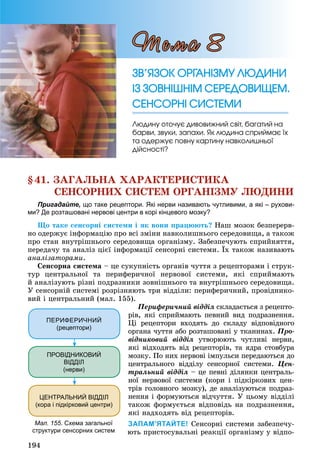 194
§41. ÇÀÃÀËÜÍÀ ÕÀÐÀÊÒÅÐÈÑÒÈÊÀ
ÑÅÍÑÎÐÍÈÕ ÑÈÑÒÅÌ ÎÐÃÀÍІÇÌÓ ËÞÄÈÍÈ
Пригадайте, що таке рецептори. Які нерви називають чутливими, а які – рухови-
ми? Де розташовані нервові центри в корі кінцевого мозку?
Ùî òàêå ñåíñîðíі ñèñòåìè і ÿê âîíè ïðàöþþòü? Íàø ìîçîê áåçïåðåðâ-
íî îäåðæóє іíôîðìàöіþ ïðî âñі çìіíè íàâêîëèøíüîãî ñåðåäîâèùà, à òàêîæ
ïðî ñòàí âíóòðіøíüîãî ñåðåäîâèùà îðãàíіçìó. Çàáåçïå÷óþòü ñïðèéíÿòòÿ,
ïåðåäà÷ó òà àíàëіç öієї іíôîðìàöії ñåíñîðíі ñèñòåìè. Їõ òàêîæ íàçèâàþòü
àíàëіçàòîðàìè.
Ñåíñîðíà ñèñòåìà – öå ñóêóïíіñòü îðãàíіâ ÷óòòÿ ç ðåöåïòîðàìè і ñòðóê-
òóð öåíòðàëüíîї òà ïåðèôåðè÷íîї íåðâîâîї ñèñòåìè, ÿêі ñïðèéìàþòü
é àíàëіçóþòü ðіçíі ïîäðàçíèêè çîâíіøíüîãî òà âíóòðіøíüîãî ñåðåäîâèùà.
Ó ñåíñîðíіé ñèñòåìі ðîçðіçíÿþòü òðè âіääіëè: ïåðèôåðè÷íèé, ïðîâіäíèêî-
âèé і öåíòðàëüíèé (ìàë. 155).
Ïåðèôåðè÷íèé âіääіë ñêëàäàєòüñÿ ç ðåöåïòî-
ðіâ, ÿêі ñïðèéìàþòü ïåâíèé âèä ïîäðàçíåííÿ.
Öі ðåöåïòîðè âõîäÿòü äî ñêëàäó âіäïîâіäíîãî
îðãàíà ÷óòòÿ àáî ðîçòàøîâàíі ó òêàíèíàõ. Ïðî-
âіäíèêîâèé âіääіë óòâîðþþòü ÷óòëèâі íåðâè,
ÿêі âіäõîäÿòü âіä ðåöåïòîðіâ, òà ÿäðà ñòîâáóðà
ìîçêó. Ïî íèõ íåðâîâі іìïóëüñè ïåðåäàþòüñÿ äî
öåíòðàëüíîãî âіääіëó ñåíñîðíîї ñèñòåìè. Öåí-
òðàëüíèé âіääіë – öå ïåâíі äіëÿíêè öåíòðàëü-
íîї íåðâîâîї ñèñòåìè (êîðè і ïіäêіðêîâèõ öåí-
òðіâ ãîëîâíîãî ìîçêó), äå àíàëіçóþòüñÿ ïîäðàç-
íåííÿ і ôîðìóþòüñÿ âіä÷óòòÿ. Ó öüîìó âіääіëі
òàêîæ ôîðìóєòüñÿ âіäïîâіäü íà ïîäðàçíåííÿ,
ÿêі íàäõîäÿòü âіä ðåöåïòîðіâ.
ЗАПАМ’ЯТАЙТЕ! Ñåíñîðíі ñèñòåìè çàáåçïå÷ó-
þòü ïðèñòîñóâàëüíі ðåàêöії îðãàíіçìó ó âіäïî-
ÇÂ’ßÇÎÊ ÎÐÃÀÍІÇÌÓ ËÞÄÈÍÈÇÂ’ßÇÎÊ ÎÐÃÀÍІÇÌÓ ËÞÄÈÍÈ
ІÇ ÇÎÂÍІØÍІÌ ÑÅÐÅÄÎÂÈÙÅÌ.ІÇ ÇÎÂÍІØÍІÌ ÑÅÐÅÄÎÂÈÙÅÌ.
ÑÅÍÑÎÐÍІ ÑÈÑÒÅÌÈÑÅÍÑÎÐÍІ ÑÈÑÒÅÌÈ
Ëþäèíó îòî÷óє äèâîâèæíèé ñâіò, áàãàòèé íà
áàðâè, çâóêè, çàïàõè. ßê ëþäèíà ñïðèéìàє їõ
òà îäåðæóє ïîâíó êàðòèíó íàâêîëèøíüîї
äіéñíîñòі?
Òåìà 8
Мал. 155. Схема загальної
структури сенсорних систем
ПЕРИФЕРИЧНИЙ
(рецептори)
ПРОВІДНИКОВИЙ
ВІДДІЛ
(нерви)
ЦЕНТРАЛЬНИЙ ВІДДІЛ
(кора і підкірковий центри)
 