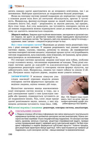 196
ТЕМА 8
äîñèòü øâèäêî çäàòíі àäàïòóâàòèñÿ ÿê äî ÿñêðàâîãî îñâіòëåííÿ, òàê і äî
çàòåìíåííÿ. Íàéãіðøå àäàïòóþòüñÿ äî ïîäðàçíåííÿ áîëüîâі ðåöåïòîðè.
ßêùî íà ñåíñîðíó ñèñòåìó ïåâíèé ïîäðàçíèê äіє ïåðіîäè÷íî і ïðè öüîìó
ç êîæíèì ðàçîì ñèëà éîãî äії ïîñòóïîâî çáіëüøóєòüñÿ, çðîñòàє її ÷óòëè-
âіñòü. Íàïðèêëàä, ôàõіâöі-êóëіíàðè êðàùå çà ëþäåé іíøèõ ïðîôåñіé ðîç-
ïіçíàþòü ÿêіñòü їæі, âîäії – ðîçðіçíÿþòü çà çâóêîì äâèãóíà, ùî ïðàöþє,
éîãî ñòàí òîùî. Àëå ñëіä çàçíà÷èòè, ùî ÷óòëèâіñòü ñåíñîðíèõ ñèñòåì äî
äії ïåâíèõ ïîäðàçíèêіâ ìîæíà ïіäâèùóâàòè ëèøå äî ïåâíîї ìåæі, áàãàòî â
÷îìó öÿ çäàòíіñòü âèçíà÷àєòüñÿ ñïàäêîâî.
Здоров’я людини. Завдяки адаптаційним механізмам, закладеним в організмі кож-
ної людини, ми здатні за допомогою тривалих вправ підвищувати функціональні
можливості сенсорних систем. Так тренують свій слух музиканти, відчуття кольору –
художники, смак і запахи – спеціалісти-дегустатори та інші.
ßêі є òèïè ñåíñîðíèõ ñèñòåì? Âіäïîâіäíî äî ðіçíèõ òèïіâ ðåöåïòîðіâ іñíó-
þòü і ðіçíі ñåíñîðíі ñèñòåìè. Ó ëþäèíè ðîçðіçíÿþòü òàêі îñíîâíі ñåíñîðíі
ñèñòåìè: çîðîâó, ñëóõîâó, ñìàêîâó, äîòèêîâó òà íþõîâó. Äî ïåðèôåðè÷íîї
÷àñòèíè ñåíñîðíîї ñèñòåìè âõîäÿòü і âіäïîâіäíі îðãàíè ÷óòòÿ: î÷і (ñïðèéìàþòü
ñâіòëîâі ïîäðàçíèêè), âóõà (çâóêîâі), ÿçèê (ñìàêîâі), íіñ (çàïàõè), îðãàí ðіâíî-
âàãè (êîíòðîëü çà ïîëîæåííÿì ó ïðîñòîðі) òà іí.
Óñі ñåíñîðíі ñèñòåìè îðãàíіçìó ëþäèíè ïîâ’ÿçàíі ìіæ ñîáîþ, îñîáëèâî
â êîðі ãîëîâíîãî ìîçêó, ÷èñëåííèìè íåðâîâèìè çâ’ÿçêàìè. Òîìó ðіçíі ñåí-
ñîðíі ñèñòåìè çäàòíі äî âçàєìîäії òà âçàєìîêîìïåñàöії. Óíàñëіäîê öüîãî
ïîäðàçíåííÿ ðåöåïòîðіâ îäíієї іç ñåíñîðíèõ ñèñòåì ôîðìóє âіä÷óòòÿ, ùî
çàáåçïå÷óþòü іíøі. Íàïðèêëàä, ëþäèíà ÷óє ãàâêіò ñîáàêè òà óÿâëÿє її îá-
ðàç. Ïî÷óâøè çàïàõ ãîðіëîãî äåðåâà, ëþäèíà ìîæå óÿâèòè ïîæåæó.
ЗАПАМ’ЯТАЙТЕ! Ó âåëèêèõ ïіâêóëÿõ óíà-
ñëіäîê âçàєìîäії êіðêîâèõ âіääіëіâ ðіçíèõ
ñåíñîðíèõ ñèñòåì ôîðìóєòüñÿ ïðîãðàìà ïî-
âåäіíêè ëþäèíè, îöіíêà ïåâíèõ äіé òîùî.
Áіîëîãі÷íå çíà÷åííÿ ÿâèùà âçàєìîêîìïåí-
ñàöії ñåíñîðíèõ ñèñòåì ïîëÿãàє â òîìó, ùî â
ðàçі óøêîäæåííÿ îäíієї ç íèõ (óíàñëіäîê õâî-
ðîáè àáî òðàâìè), ïіäâèùóєòüñÿ ÷óòëèâіñòü äî
äії ïîäðàçíèêіâ іíøèõ. Òàê, ñëіïі ëþäè êðàùå
çäàòíі ðîçïіçíàâàòè çâóêè, çàïàõè, ó íèõ ïіä-
âèùåíà äîòèêîâà ÷óòëèâіñòü òîùî (ìàë. 156).
Êëþ÷îâі òåðìіíè і ïîíÿòòÿ: ðåöåïòîðè, ñåíñîðíà ñèñòåìà, àíàëіçàòîðè.
УЗАГАЛЬНИМО ЗНАННЯ
Людина отримує об’єктивну інформацію про зміни зовнішнього і внутрішнього
середовища організму за допомогою сенсорних систем (аналізаторів). Кожна сен-
сорна система сприймає тільки специфічний вид подразника. Усі сенсорні системи
мають однакову загальну структуру: рецептори (периферичний відділ), провідні
шляхи (провідниковий відділ), нервовий центр (центральний відділ). На базі отри-
маної інформації в людини формуються суб’єктивні відчуття і психічні процеси.
Для рецепторів характерне явище адаптації, тобто пристосування до тривалої дії
подразника, а для сенсорних систем – явища взаємодії та взаємокомпенсації.
Мал. 156. Незрячі люди сприй-
мають текст на дотик. Цей ре-
льєфно-крапковий шрифт роз-
робив француз Луїс Брайль
 