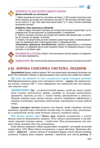197
§42
ПЕРЕВІРТЕ ТА ЗАСТОСУЙТЕ ЗДОБУТІ ЗНАННЯ
Дайте відповідь на запитання
1. Дайте визначення поняття «сенсорні системи». 2. Які основні структурні еле-
менти входять до складу всіх сенсорних систем? 3. Які сенсорні системи люди-
ни ви знаєте? 4. Що таке адаптація рецепторів? 5. У чому полягає взаємодія
сенсорних систем?
Виберіть одну правильну відповідь
1. Укажіть відділ сенсорної системи, до складу якого входять рецептори: а) пе-
риферичний; б) центральний; в) провідниковий; г) гальмівний.
2. Укажіть сенсорну систему, до складу якої входять фоторецептори: а) смако-
ва; б) слухова; в) зорова; г) нюхова.
3. Укажіть тип рецепторів, до яких належать рецептори смаку: а) механорецеп-
тори; б) хеморецептори; в) фоторецептори; г) терморецептори.
Установіть правильну послідовність передачі подразнення у сенсорних
системах: а) нервовий центр кори кінцевого мозку; б) нервовий імпульс; в) ре-
цептори; г) чутливий нерв.
ОБГОВОРІТЬ У ГРУПАХ. Назвіть типи сенсорних систем людини та подразни-
ки, які вони сприймають.
ПОМІРКУЙТЕ. Яке значення має явище взаємокомпенсації сенсорних систем?
§42. ÇÎÐÎÂÀ ÑÅÍÑÎÐÍÀ ÑÈÑÒÅÌÀ ËÞÄÈÍÈ
Пригадайте будову черепа людини. Які типи рецепторів притаманні організму лю-
дини? Які особливості будови та функціонування ока в різних груп хребетних тварин?
Ùî òàêå çіð ëþäèíè? Іç ÷îãî ñêëàäàєòüñÿ çîðîâà ñåíñîðíà ñèñòåìà?
Íàéіíôîðìàòèâíіøà ñåðåä óñіõ ñåíñîðíèõ ñèñòåì – çîðîâà. Çà ïіäðàõóíêà-
ìè â÷åíèõ, áëèçüêî 90 % óñієї іíôîðìàöії ïðî çîâíіøíіé ñâіò ìè îòðèìó-
єìî çàâäÿêè çîðó.
ЗАПАМ’ЯТАЙТЕ! Çіð – öå ôіçіîëîãі÷íèé ïðîöåñ, ÿêèé äàє çìîãó ñïðèé-
ìàòè ñòóïіíü îñâіòëåíîñòі, ôîðìó, ðîçìіðè òà êîëüîðè íàâêîëèøíіõ
ïðåäìåòіâ, âіäñòàíü äî íèõ і, òàêèì ÷èíîì, îðієíòóâàòèñü ó äîâêіëëі.
Ëþäèíà çàâäÿêè çîðó çäàòíà ÷èòàòè, ïèñàòè, ñïðèéìàòè іíôîðìàöіþ ç
åêðàíіâ òåëåâіçîðіâ, ìîíіòîðіâ êîìï’þòåðіâ, âèêîíóâàòè ñêëàäíі ðîáîòè
òîùî.
Çîðîâà ñåíñîðíà ñèñòåìà âêëþ÷àє îêî (îðãàí, ÿêèé ñïðèéìàє ñâіòëîâі
ïðîìåíі), çîðîâèé íåðâ, ïіäêіðêîâі öåíòðè çîðó òà çîðîâó çîíó, ðîçòàøîâà-
íó â ïîòèëè÷íіé ÷àñòöі êîðè âåëèêèõ ïіâêóëü ãîëîâíîãî ìîçêó.
ßêà áóäîâà îðãàíà çîðó? Îðãàí çîðó ëþäèíè ñêëàäàєòüñÿ ç î÷íîãî
ÿáëóêà (îêà) é äîïîìіæíîãî àïàðàòó. Î÷íå ÿáëóêî ðîçòàøîâàíå â çàãëèá-
ëåííі ëèöüîâîї ÷àñòèíè ÷åðåïà – î÷íіé ÿìöі. Òàêå ðîçòàøóâàííÿ îêà ïåâ-
íèì ÷èíîì çàõèùàє éîãî âіä óøêîäæåíü.
Î÷íå ÿáëóêî ñòàíîâèòü ñîáîþ íàäçâè÷àéíî ñêëàäíèé і ÷óòëèâèé îïòè÷íèé
àïàðàò (ìàë. 157). Éîãî ñòіíêè ñêëàäàþòüñÿ ç òðüîõ îáîëîíîê. Çîâíіøíÿ îáî-
ëîíêà – ôіáðîçíà – äîñèòü ùіëüíà é ïіäòðèìóє ôîðìó î÷íîãî ÿáëóêà (ìàéæå
êóëÿñòó). Ñïåðåäó âîíà óòâîðþє ïðîçîðó і ïðîíèêíó äëÿ ñâіòëà ðîãіâêó. Її
 