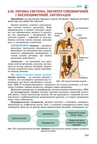 8 klas biologija_matjash_2016