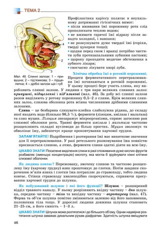 46
ТЕМА 2
Ïðîôіëàêòèêà êàðієñó ïîëÿãàє â íåóõèëü-
íîìó äîòðèìàííі ãіãієíі÷íèõ âèìîã:
• ïіñëÿ âæèâàííÿ їæі ïîðîæíèíó ðîòà ñëіä
ïðîïîëîñêàòè òåïëîþ âîäîþ;
• íå âæèâàòè ãàðÿ÷îї їæі âіäðàçó ïіñëÿ çà-
íàäòî õîëîäíîї, і íàâïàêè;
• íå ðîçêóøóâàòè äóæå òâåðäîї їæі (ãîðіõè,
òâåðäі öóêåðêè òîùî);
• ùîäíÿ ïåðåä ñíîì і âðàíöі ïîòðіáíî ÷èñòè-
òè çóáè ïðîòèçàïàëüíèìè çóáíèìè ïàñòàìè;
• ùîðîêó ïðîõîäèòè ìåäè÷íå îáñòåæåííÿ â
çóáíîãî ëіêàðÿ;
• ñâîє÷àñíî ëіêóâàòè õâîðі çóáè.
Õіìі÷íà îáðîáêà їæі â ðîòîâіé ïîðîæíèíі.
Ïðîöåñè ôåðìåíòàòèâíîãî ïåðåòðàâëþâàí-
íÿ їæі ïî÷èíàþòüñÿ â ðîòîâіé ïîðîæíèíі.
Ó öüîìó ïðîöåñі áåðå ó÷àñòü ñëèíà, ÿêó âè-
ðîáëÿþòü ñëèííі çàëîçè. Ó ëþäèíè є òðè ïàðè âåëèêèõ ñëèííèõ çàëîç:
ïðèâóøíі, ïіäùåëåïíі і ïіä’ÿçèêîâі (ìàë. 46). Çà äîáó âñі ñëèííі çàëîçè
ðàçîì âèäіëÿþòü ó ðîòîâó ïîðîæíèíó 0,5–2 ë ñëèíè. Êðіì âåëèêèõ ñëèí-
íèõ çàëîç, ñëèçîâà îáîëîíêà ðîòà âñіÿíà ÷èñëåííèìè äðіáíèìè ñëèííèìè
çàëîçàìè.
Ñëèíà – öå áåçáàðâíà ñëèçóâàòî-êëåéêà ñëàáîëóæíà ðіäèíà, äî ñêëàäó
ÿêîї âõîäÿòü âîäà (áëèçüêî 98,5 %), ôåðìåíòè (ëіçîöèì, àìіëàçà і ìàëüòàçà)
òà ñëèç ìóöèí. Ëіçîöèì çíåçàðàæóє ìіêðîîðãàíіçìè, ñïðèÿє çàãîєííþ ðàí
ñëèçîâîї îáîëîíêè ðîòà. Òðàâíі ôåðìåíòè àìіëàçà і ìàëüòàçà ÷àñòêîâî
ðîçùåïëþþòü ñêëàäíі âóãëåâîäè äî áіëüø ïðîñòèõ. Ìóöèí çâîëîæóє òà
îáâîëіêàє їæó, çàáåçïå÷óє êðàùå ïðîêîâòóâàííÿ õàð÷îâîї ãðóäêè.
ЗАПАМ’ЯТАЙТЕ! Ïîäðіáíåííÿ і ðîçòèðàííÿ їæі ìàє âèíÿòêîâå çíà÷åííÿ
äëÿ її ïåðåòðàâëþâàííÿ. Ó ðàçі ðåòåëüíîãî ðîçæîâóâàííÿ їæà ïîâíіñòþ
ïðîñÿêàєòüñÿ ñëèíîþ, à îòæå, ôåðìåíòè ñëèíè çäàòíі äіÿòè íà âñþ їæó.
ЦІКАВО ЗНАТИ! Посилене виділення слини в разі споживання дуже кислих фруктів
розбавляє (зменшує концентрацію) кислоту, яка могла б зруйнувати ніжні клітини
слизової оболонки.
ßê ëþäèíà êîâòàє? Ïåðåæîâàíó, çìî÷åíó ñëèíîþ òà ÷àñòêîâî ðîçùåï-
ëåíó їæó (õàð÷îâó ãðóäêó) ÿçèê ïðîøòîâõóє äî ãëîòêè. Ïîòіì çàâäÿêè ñêî-
ðî÷åííþ ì’ÿçіâ ÿçèêà і ãëîòêè їæà ïîòðàïëÿє äî ñòðàâîõîäó, òîáòî ëþäèíà
êîâòàє. Ñòіíêè ñòðàâîõîäó õâèëåïîäіáíî ñêîðî÷óþòüñÿ, ñïðèÿþ÷è ïðîñó-
âàííþ õàð÷îâîї ãðóäêè äî øëóíêà.
ßê ïîáóäîâàíèé øëóíîê і ÿêі éîãî ôóíêöії? Øëóíîê – ðîçøèðåíèé
âіääіë òðàâíîãî êàíàëó. Ó íüîìó ðîçðіçíÿþòü âõіäíó ÷àñòèíó – äíî øëóí-
êà, ñåðåäíþ ÷àñòèíó – òіëî òà âèõіäíó ÷àñòèíó – âîðîòàðåâó (ìàë. 47).
Ôîðìà òà îá’єì øëóíêà ïîìіòíî çìіíþþòüñÿ çàëåæíî âіä éîãî íàïîâíåííÿ,
ïîëîæåííÿ òіëà òîùî. Ó äîðîñëîї ëþäèíè äîâæèíà øëóíêà ñòàíîâèòü
21–25 ñì, à éîãî єìíіñòü – 1–3 ë.
ЦІКАВО ЗНАТИ! Шлунок може розтягатися і до більшого об’єму. Однак надмірне роз-
тягання шлунка заважає дихальним рухам діафрагми. Здатність шлунка вміщувати
Мал. 46. Слинні залози: 1 – при-
вушна; 2 – під’язикова; 3 – підще-
лепна; 4 – дрібні залози щік і губ
1
44
2
3
 
