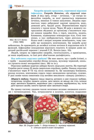 60
ТЕМА 2
Õâîðîáè îðãàíіâ òðàâëåííÿ, ñïðè÷èíåíі âіðóñíîþ
іíôåêöієþ. Õâîðîáà Áîòêіíà, àáî âіðóñíèé ãåïà-
òèò À (âіä ãðåö. ãåïàð – ïå÷іíêà), – öå ãîñòðà іí-
ôåêöіéíà õâîðîáà, çà ÿêîї óðàæàєòüñÿ ïåðåâàæíî
ïå÷іíêà, âèíèêàє її òÿæêå çàïàëåííÿ. Ëþäèíà çàðà-
æàєòüñÿ ÷åðåç çàáðóäíåíі õàð÷îâі ïðîäóêòè, âîäó,
äîìàøíі ðå÷і, áðóäíі ðóêè. Ïåðåíîñíèêàìè âіðóñó
ãåïàòèòó є òàêîæ ìóõè. ×åðåç 40 äíіâ ç ìîìåíòó ïî-
òðàïëÿííÿ çáóäíèêà äî îðãàíіçìó ç’ÿâëÿþòüñÿ ïåð-
øі îçíàêè õâîðîáè: áіëü ó ãîðëі, êâîëіñòü, íóäîòà,
áëþâàííÿ, ïіäâèùåííÿ òåìïåðàòóðè òіëà. Ñå÷à òåì-
íіøàє, à êàë çíåáàðâëþєòüñÿ, ÷åðåç äåêіëüêà äíіâ
áіëêè î÷åé і øêіðíі ïîêðèâè æîâòіøàþòü, òîìó õâî-
ðîáó ùå íàçèâàþòü æîâòÿíèöåþ. Öÿ õâîðîáà äóæå
íåáåçïå÷íà, áî ïðèçâîäèòü äî çàãèáåëі êëіòèí ïå÷іíêè é ïîðóøåííÿ âñіõ її
ôóíêöіé. Іíôåêöіéíå ïîõîäæåííÿ âіðóñíîãî ãåïàòèòó À âïåðøå äîâіâ âè-
äàòíèé ðîñіéñüêèé òåðàïåâò і â÷åíèé Ñ.Ï. Áîòêіí (ìàë. 55).
Ëþäåé, õâîðèõ íà іíôåêöіéíі õâîðîáè, ãîñïіòàëіçóþòü, à ïðèìіùåííÿ,
äå âîíè ïåðåáóâàëè, òà їõíі ðå÷і îáîâ’ÿçêîâî äåçіíôіêóþòü.
ßêà íåáåçïåêà îòðóєííÿ ãðèáàìè? Âè âæå çíàєòå, ùî є ãðèáè їñòіâíі, à
є ãðèáè – íàäçâè÷àéíî îòðóéíі (áëіäà ïîãàíêà, ìóõîìîð ÷åðâîíèé, îïåíü-
êè ñіð÷èñòî-æîâòі íåñïðàâæíі (ìàë. 56) òà іí.).
Îòðóєííÿ ãðèáàìè ùîðі÷íî çàáèðàє áàãàòî ëþäñüêèõ æèòòіâ. Íà òåðèòîðії
Óêðàїíè ðîñòå ïîíàä 25 âèäіâ ñìåðòåëüíî îòðóéíèõ ãðèáіâ. Îçíàêè îòðóєííÿ
ç’ÿâëÿþòüñÿ ÷åðåç 8–72 ãîä ïіñëÿ âæèâàííÿ їõ. Öå íàñàìïåðåä áëþâàííÿ,
ðîçëàä øëóíêà, íåâãàìîâíà ñïðàãà ÷åðåç çíåâîäíåííÿ îðãàíіçìó, ñóäîìè.
Ó ðàçі ïîÿâè òàêèõ ñèìïòîìіâ ñëіä íåãàéíî âèêëèêàòè «øâèäêó äîïîìîãó».
Здоров’я людини. Надаючи першу медичну допомогу в разі отруєння грибами,
потерпілому потрібно промити шлунок, дати випити не менше ніж п’ять склянок
води; викликати блювання, видаливши цим з організму недоброякісну їжу, потім
дати проносні засоби, напоїти гарячим чаєм і викликати лікаря.
Íà òðàâíó ñèñòåìó ëþäèíè òàêîæ íåãàòèâíî âïëèâàє âæèâàííÿ àëêîãî-
ëþ і òþòþíîêóðіííÿ. Òàê, ïîòðàïëÿþ÷è â øëóíîê, àëêîãîëü ïîäðàçíþє
Мал. 56. Отруйні гриби: 1 – бліда поганка; 2 – мухомор червоний;
3 – опеньки сірчисто-жовті несправжні
1 2 3
Мал. 55. С.П. Боткін
(1832–1889)
 