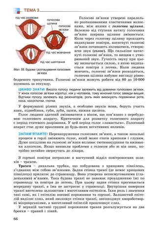 66
ТЕМА 3
Ãîëîñîâі çâ’ÿçêè óòâîðåíі ïàðàëåëü-
íî ðîçòàøîâàíèìè åëàñòè÷íèìè âîëîê-
íàìè, ìіæ ÿêèìè є ãîëîñîâà ùіëèíà.
Çàëåæíî âіä ñòóïåíÿ íàòÿãó ãîëîñîâèõ
çâ’ÿçîê øèðèíà ùіëèíè çìіíþєòüñÿ.
Êîëè ÷åðåç ãîëîñîâó ùіëèíó ïðîõîäèòü
âèäèõóâàíå ïîâіòðÿ, íàòÿãíóòі ãîëîñîâі
çâ’ÿçêè ïî÷èíàþòü êîëèâàòèñÿ, ñòâîðþ-
þ÷è çâóê (ãîëîñ). Ùî ñèëüíіøå íàòÿã-
íóòі ãîëîñîâі çâ’ÿçêè, òî âèùèì є óòâî-
ðþâàíèé çâóê. Ãó÷íіñòü çâóêó ïðè öüî-
ìó âèçíà÷àєòüñÿ ñèëîþ, ç ÿêîþ âèäèõà-
єòüñÿ ïîâіòðÿ ç ëåãåíü. Êîëè ëþäèíà
ìîâ÷èòü, ãîëîñîâі çâ’ÿçêè ðîçõîäÿòüñÿ,
ãîëîñîâà ùіëèíà íàáóâàє âèãëÿäó ðіâíî-
áåäðåíîãî òðèêóòíèêà. Ãîëîñîâі çâ’ÿçêè ìîæóòü ðîáèòè âіä 80 äî 10 000
êîëèâàíü çà ñåêóíäó.
ЦІКАВО ЗНАТИ! Висота голосу людини залежить від довжини голосових зв’язок.
У жінок голосові зв’язки коротші, ніж у чоловіків, тому жіночий голос завжди вищий.
Відтінки голосу залежать від резонаторів, роль яких виконують порожнини рота,
носа, носоглотки, глотки.
Ó ôîðìóâàííі ðіçíèõ çâóêіâ, à îñîáëèâî çâóêіâ ìîâè, áåðóòü ó÷àñòü
ÿçèê, ïіäíåáіííÿ, ãóáè, çóáè, ùîêè, íèæíÿ ùåëåïà.
Ãîëîñ ëþäèíè çäàòíèé çìіíþâàòèñÿ ç âіêîì, ùî ïîâ’ÿçàíî ç ïåðåáóäî-
âîþ ãîëîñîâîãî àïàðàòó. Êðèòè÷íèì äëÿ ðîçâèòêó ãîëîñîâîãî àïàðàòó
є ïåðіîä ñòàòåâîãî äîçðіâàííÿ. Ó öåé ïåðіîä ãîëîñ «ëàìàєòüñÿ». Ãîëîñîâèé
àïàðàò ñòàє äóæå âðàçëèâèì äî áóäü-ÿêèõ íåãàòèâíèõ âïëèâіâ.
ЗАПАМ’ЯТАЙТЕ! Ïåðåíàïðóæåííÿ ãîëîñîâèõ çâ’ÿçîê, à òàêîæ çàïàëüíі
ïðîöåñè â ãîðëі çìіíþþòü ãîëîñ, ÿêèé ìîæå ñòàòè õðèïêèì і ãëóõèì.
Äóæå øêіäëèâî íà ãîëîñîâі çâ’ÿçêè âïëèâàє òþòþíîêóðіííÿ òà âæèâàí-
íÿ àëêîãîëþ. ßêùî âèíèêëè ïðîáëåìè ç ãîëîñîì àáî æ âіí çíèê, ïî-
òðіáíî íåãàéíî çâåðíóòèñü äî ëіêàðÿ.
Ç ãîðòàíі ïîâіòðÿ ïîòðàïëÿє â íàñòóïíèé âіääіë ïîâіòðîíîñíèõ øëÿ-
õіâ – òðàõåþ.
Òðàõåÿ – äèõàëüíà òðóáêà, ùî ïîáóäîâàíà ç õðÿùîâèõ ïіâêіëåöü,
ç’єäíàíèõ ìіæ ñîáîþ çâ’ÿçêàìè. Çàäíÿ ñòіíêà òðàõåї (äå íåìàє õðÿùîâèõ
ïіâêіëåöü) ïðèëÿãàє äî ñòðàâîõîäó. Âîíà óòâîðåíà íåïîñìóãîâàíèìè (ãëà-
äåíüêèìè) ì’ÿçàìè. Òàêà áóäîâà òðàõåї íå çàâàæàє ïðîõîäæåííþ їæі ïî
ñòðàâîõîäó òà ïîâіòðÿ äî ëåãåíü. Ïðè öüîìó çàäíÿ ñòіíêà ïðîãèíàєòüñÿ
âñåðåäèíó òðàõåї, à їæà íå çàñòðÿãàє ó ñòðàâîõîäі. Âíóòðіøíÿ ïîâåðõíÿ
òðàõåї âèñòåëåíà çàëîçèñòèì і ìèãîòëèâèì åïіòåëієì. Їõíÿ ðîëü і çíà÷åííÿ
òàêі ñàìі, ÿê і åïіòåëіþ íîñîâîї ïîðîæíèíè òà ãîðòàíі. Çàëîçèñòèé åïіòå-
ëіé âèäіëÿє ñëèç, ÿêèé çâîëîæóє ñòіíêè òðàõåї, çíåøêîäæóє õâîðîáîòâîð-
íі ìіêðîîðãàíіçìè, à ìèãîòëèâèé åïіòåëіé ïðîøòîâõóє ñëèç.
Ó âåðõíіé ÷àñòèíі ãðóäíîї ïîðîæíèíè òðàõåÿ ðîçãàëóæóєòüñÿ íà äâà
áðîíõè – ïðàâèé і ëіâèé.
Мал. 59. Будова і розташування голосових
зв’язок
голосова
щілина
голосові
зв’язки
під час мовчання
під час розмовипід час розмови
під час шептання
 