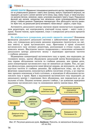 76
ТЕМА 3
ЦІКАВО ЗНАТИ! Збудження і гальмування дихального центру, і відповідно прискорен-
ня чи уповільнення дихання і навіть його зупинку, можуть спричинити імпульси, які
надходять до нього з різних органів чуття (нюху, зору, смаку тощо), а також внутріш-
ніх органів (печінки, селезінки, нирок, шлунково-кишкового тракту тощо). Порушення
функцій цих органів, наприклад їхнє запалення, може супроводжуватися зміною
ритму і глибини дихання. Підвищена температура і біль збільшують частоту дихан-
ня. Крім того, на дихальний центр впливають також емоції – радість, страх тощо.
Àêòèâíіñòü äèõàëüíîãî öåíòðó çíà÷íîþ ìіðîþ âèçíà÷àєòüñÿ ïîäðàçíåí-
íÿì ðåöåïòîðіâ, ÿêі êîíòðîëþþòü õіìі÷íèé ñêëàä êðîâі – âìіñò ãàçіâ ó
êðîâі. Òàêèì ÷èíîì, êðіì íåðâîâîї, іñíóє і ãóìîðàëüíà ðåãóëÿöіÿ ïðîöåñіâ
äèõàííÿ.
ßê âіäáóâàєòüñÿ ãóìîðàëüíà ðåãóëÿöіÿ ïðîöåñіâ äèõàííÿ? Îñíîâíîþ
ôóíêöієþ äіÿëüíîñòі äèõàëüíîї ñèñòåìè є çàáåçïå÷åííÿ îðãàíіçìó êèñ-
íåì, àëå ãóìîðàëüíà ðåãóëÿöіÿ äèõàííÿ ïåðåâàæíî ґðóíòóєòüñÿ íà çìі-
íàõ âìіñòó â êðîâі âóãëåêèñëîãî ãàçó. Çðîñòàííÿ â êðîâі êіëüêîñòі
âóãëåêèñëîãî ãàçó àêòèâóє ðåöåïòîðè, ðîçòàøîâàíі â ñòіíöі ñóäèí, ùî
æèâëÿòü ìîçîê. Íàñëіäêîì òàêîãî ïîäðàçíåííÿ є ïîñèëåííÿ àêòèâíîñòі
äèõàëüíîãî öåíòðó äîâãàñòîãî ìîçêó і âіäïîâіäíî çðîñòàííÿ ÷àñòîòè
і ãëèáèíè äèõàííÿ.
Ïіäâèùåííÿ êîíöåíòðàöії âóãëåêèñëîãî ãàçó â êðîâі, ÿêà íàäõîäèòü äî
ãîëîâíîãî ìîçêó, çäàòíå çáóäæóâàòè äèõàëüíèé öåíòð áåçïîñåðåäíüî. Öå
òåæ ñïðèÿє çáіëüøåííþ ÷àñòîòè òà ãëèáèíè äèõàííÿ, ÿêå òðèâàє äîòè,
äîêè êîíöåíòðàöіÿ âóãëåêèñëîãî ãàçó íå çíèçèòüñÿ äî íîðìè. Òàê, íà óðî-
êàõ ôіçêóëüòóðè, âèêîíóþ÷è ïåâíі ôіçè÷íі âïðàâè, âè âіä÷óâàєòå, ÿê çáіëü-
øóєòüñÿ ÷àñòîòà é ãëèáèíà äèõàííÿ. Öå âіäáóâàєòüñÿ òîìó, ùî ïіä ÷àñ
ôіçè÷íèõ íàâàíòàæåíü ïîñèëþєòüñÿ ðîáîòà ñêåëåòíèõ ì’ÿçіâ, à öå ñïðè÷è-
íþє ïðîöåñè îêèñíåííÿ â їõíіõ êëіòèíàõ, à âіäïîâіäíî é çáіëüøåííÿ âóãëå-
êèñëîãî ãàçó â êðîâі. Êðîâ ç íàäëèøêîì âóãëåêèñëîãî ãàçó íàäõîäèòü äî
äèõàëüíîãî öåíòðó і ñïðè÷èíþє éîãî çáóäæåííÿ, ÿêå ïåðåäàєòüñÿ äî äè-
õàëüíèõ ì’ÿçіâ. Ëþäèíà ïî÷èíàє äèõàòè ãëèáøå, і öå çóìîâëþє âèâåäåííÿ
íàäëèøêó âóãëåêèñëîãî ãàçó òà ïîïîâíåííÿ âìіñòó êèñíþ (ìàë. 67).
Мал. 67. Регуляція дихальних рухів. Завдання. Поясніть, як змінюються дихальні рухи
під час бігу
 