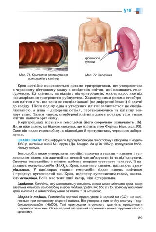 89
§18
Êðîâ ïîñòіéíî ïîïîâíþєòüñÿ íîâèìè åðèòðîöèòàìè, ùî óòâîðþþòüñÿ
â ÷åðâîíîìó êіñòêîâîìó ìîçêó ç îñîáëèâèõ êëіòèí, ÿêі íàçèâàþòü ñòîâ-
áóðîâèìè. Öі êëіòèíè, íà âіäìіíó âіä åðèòðîöèòіâ, ìàþòü ÿäðî, ÿêå ïіä
÷àñ äîçðіâàííÿ åðèòðîöèòіâ ðóéíóєòüñÿ. Õàðàêòåðíèìè ðèñàìè ñòîâáóðî-
âèõ êëіòèí є òå, ùî âîíè íå ñïåöіàëіçîâàíі (íå äèôåðåíöіéîâàíі) é çäàòíі
äî ïîäіëó. Ïіñëÿ ïîäіëó îäíà ç óòâîðåíèõ êëіòèí çàëèøàєòüñÿ íå ñïåöіà-
ëіçîâàíîþ, à іíøà – äèôåðåíöіþєòüñÿ, ïåðåòâîðþþ÷èñü íà êëіòèíó ïåâ-
íîãî òèïó. Òàêèì ÷èíîì, ñòîâáóðîâі êëіòèíè äàþòü ïî÷àòîê óñіì òèïàì
êëіòèí íàøîãî îðãàíіçìó.
Â åðèòðîöèòàõ ìіñòèòüñÿ ãåìîãëîáіí (éîãî ñêîðî÷åíî ïîçíà÷àþòü Hb).
ßê âè âæå çíàєòå, öå áіëêîâà ñïîëóêà, ùî ìіñòèòü àòîì Ôåðóìó (äèâ. ìàë. 63).
Ñàìå âіí íàäàє ãåìîãëîáіíó, à âіäïîâіäíî é åðèòðîöèòàì, ÷åðâîíîãî çàáàðâ-
ëåííÿ.
ЦІКАВО ЗНАТИ! Розшифрували будову молекули гемоглобіну і створили її модель
1960 р. англійські вчені М. Перутц і Дж. Кендрю. За це їм 1962 р. присуджено Нобе-
лівську премію.
Ãåìîãëîáіí ìîæå óòâîðþâàòè íåñòіéêі ñïîëóêè ç ãàçàìè – êèñíåì і âóã-
ëåêèñëèì ãàçîì: âіí çäàòíèé íà ïåâíèé ÷àñ çâ’ÿçóâàòè їõ òà âіä’єäíóâàòè.
Ñïîëóêà ãåìîãëîáіíó ç êèñíåì íàáóâàє ÿñêðàâî-÷åðâîíîãî êîëüîðó, її íà-
çèâàþòü îêñèãåìîãëîáіí (ÍbÎ2). Êðîâ, íàñè÷åíó êèñíåì, íàçèâàþòü àðòå-
ðіàëüíîþ. Ó êàïіëÿðàõ òêàíèí ãåìîãëîáіí âіääàє êèñåíü êëіòèíàì
і ïðèєäíóє âóãëåêèñëèé ãàç. Êðîâ, íàñè÷åíó âóãëåêèñëèì ãàçîì, íàçèâà-
þòü âåíîçíîþ. Âîíà ìàє òåìíіøèé êîëіð, íіæ àðòåðіàëüíà.
Завдання. Полічіть, яку максимальну кількість кисню може містити кров, якщо
загальна кількість гемоглобіну в крові людини приблизно 650 г. При повному насиченні
крові киснем 1 г гемоглобіну може зв’язати 1,34 мл кисню.
Здоров’я людини. Гемоглобін здатний приєднувати й чадний газ (СО), що виді-
ляється при неповному згорянні палива. Він утворює з ним стійку сполуку – кар-
боксигемоглобін (НbСО). Такі еритроцити втрачають здатність приєднувати
і переносити кисень. Отже, чадний газ здатний спричиняти важке отруєння нашого
організму.
Мал. 71. Компактне розташування
еритроцитів у капілярі
Мал. 72. Селезінка
кровоносні
судини
 