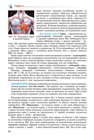 98
ТЕМА 4
êðîâ âèêîíóє çàâäÿêè ïîñòіéíîìó ðóõîâі ïî
êðîâîíîñíèõ ñóäèíàõ. Öåé ðóõ çàáåçïå÷óєòüñÿ
ðèòìі÷íèìè ñêîðî÷åííÿìè ñåðöÿ, ùî ïðàöþє
ÿê íàñîñ, і, ñòâîðþþ÷è òèñê êðîâі, ïåðåêà÷óє її
ïî êðîâîíîñíіé ñèñòåìі. Ïðèïèíåííÿ ðóõó êðîâі,
íàâіòü êîðîòêî÷àñíå, ñìåðòåëüíî íåáåçïå÷íå äëÿ
îðãàíіçìó. Êëіòèíè îðãàíіçìó, îñîáëèâî íåðâîâі,
íàâіòü êіëüêà õâèëèí íå ìîæóòü ôóíêöіîíóâàòè áåç
êèñíþ і ïîæèâíèõ ðå÷îâèí, ÿêі ïåðåíîñèòü êðîâ.
ßêà áóäîâà ñåðöÿ? Ñåðöå – ïîðîæíèñòèé êî-
íóñîïîäіáíèé ì’ÿçîâèé îðãàí, ðîçìіùåíèé
ó ãðóäíіé ïîðîæíèíі (ìàë. 81). Ðîçøèðåíà éîãî
îñíîâà îáåðíåíà âãîðó, à âóçüêà âåðõіâêà – äî-
íèçó. Äâі òðåòèíè ñåðöÿ çíàõîäÿòüñÿ â ëіâіé ïîëîâèíі ãðóäíîї ïîðîæíèíè,
à îäíà – â ïðàâіé. Òàêèì ÷èíîì, ñåðöå çìіùåíå ëіâîðó÷ âіä ñåðåäíüîї ëіíії
òіëà. Ñåðöå äîðîñëîї ëþäèíè â ñåðåäíüîìó 12–13 ñì çàâäîâæêè і äî 9–10 ñì
ó äіàìåòðі. Ìàñà ñåðöÿ ó ÷îëîâіêіâ äåùî áіëüøà, íіæ ó æіíîê: áëèçüêî
300 ã (ó æіíîê – 220 ã).
Çîâíі ñåðöå îòî÷åíå åëàñòè÷íîþ íàâêîëîñåðöåâîþ ñóìêîþ – ïåðèêàðäîì,
ÿêèé îáåðіãàє éîãî âіä íàäìіðíîãî ðîçòÿãíåííÿ ïіä ÷àñ íàïîâíåííÿ êðîâ’þ.
Âíóòðіøíі ñòіíêè íàâêîëîñåðöåâîї ñóìêè âèäіëÿþòü ðіäèíó, ùî çâîëîæóє
ñåðöå і çìåíøóє éîãî òåðòÿ îá ñòіíêè ïåðèêàðäó ïіä ÷àñ ñêîðî÷åíü.
Ñòіíêà ñåðöÿ ñêëàäàєòüñÿ ç òðüîõ øàðіâ: âíóòðіøíüîãî – åíäîêàðäà, ñåðåä-
íüîãî – ì’ÿçîâîãî – ìіîêàðäà і çîâíіøíüîãî – ñïîëó÷íîòêàíèííîãî – åïіêàðäà.
Ìіîêàðä óòâîðåíèé îñîáëèâîþ ïîñìóãîâàíîþ ì’ÿçîâîþ òêàíèíîþ
(ìàë. 82, 1 і 82, 2). Її êëіòèíè, íà âіäìіíó âіä ñêåëåòíèõ ì’ÿçîâèõ âîëîêîí,
ç’єäíàíі ìіæ ñîáîþ. Êîëè çáóäæóєòüñÿ і ñêîðî÷óєòüñÿ îäíà êëіòèíà, òî öå
çáóäæåííÿ ïåðåäàєòüñÿ äî âñіõ ì’ÿçîâèõ êëіòèí ïåðåäñåðäÿ ÷è øëóíî÷êà.
Íàñëіäêîì öüîãî є їõíє îäíî÷àñíå ñêîðî÷åííÿ.
ЗАПАМ’ЯТАЙТЕ! Çàâäÿêè îñîáëèâîñòÿì áóäîâè äіÿëüíіñòü ñåðöÿ ïіäïîðÿä-
êîâàíà ïðàâèëó «âñå àáî íі÷îãî». Öå îçíà÷àє, ùî ó âіäïîâіäü íà ïîäðàç-
íåííÿ àáî âñі ì’ÿçîâі âîëîêíà ñåðöÿ âіäïîâіäàþòü ñêîðî÷åííÿì, àáî, ÿêùî
ïîäðàçíèê íåäîñòàòíüî ñèëüíèé, âîíè íå ðåàãóþòü íà íüîãî. Ïðè öüîìó
ñèëà ñêîðî÷åííÿ ñåðöåâîãî ì’ÿçà íå çàëåæèòü âіä ñèëè ïîäðàçíåííÿ.
Åíäîêàðä âèñòåëÿє ïîðîæíèíè ñåðöÿ. ßê і â іíøèõ ññàâöіâ, ñåðöå ëþäè-
íè ÷îòèðèêàìåðíå: ñêëàäàєòüñÿ ç äâîõ ïåðåäñåðäü (ïðàâîãî òà ëіâîãî; âåðõ-
íÿ ÷àñòèíà ñåðöÿ) і äâîõ øëóíî÷êіâ (ïðàâîãî òà ëіâîãî; íèæíÿ ÷àñòèíà
ñåðöÿ) (ìàë. 82). Ïåðåäñåðäÿ – öå âіääіëè ñåðöÿ, ó ÿêі êðîâ çáèðàєòüñÿ ç
âåí. Øëóíî÷êè – öå âіääіëè ñåðöÿ, ç ÿêèõ êðîâ íàäõîäèòü â àðòåðії. Ëіâà
і ïðàâà ÷àñòèíè ñåðöÿ ðîçäіëåíі ñóöіëüíîþ ïåðåãîðîäêîþ, òîìó âåíîçíà òà
àðòåðіàëüíà êðîâ ó íüîìó íå çìіøóþòüñÿ. Ó ïðàâіé ïîëîâèíі ðóõàєòüñÿ
âåíîçíà êðîâ, ó ëіâіé – àðòåðіàëüíà.
Ìіæ ïîðîæíèíàìè ñåðöÿ, à òàêîæ ìіæ ñåðöåì òà àîðòîþ і ìіæ ñåðöåì
òà ëåãåíåâèì ñòîâáóðîì ñêëàäêè åíäîòåëіþ óòâîðþþòü êëàïàíè (çíàéäіòü
їõ íà ìàëþíêó 82). Òàê, ìіæ ïåðåäñåðäÿìè òà øëóíî÷êàìè ðîçòàøîâàíі
ñòóëêîâі êëàïàíè. Ïðàâèé êëàïàí ñêëàäàєòüñÿ ç òðüîõ ñòóëîê (òðèñòóë-
êîâèé êëàïàí), à ëіâèé – ç äâîõ (äâîñòóëêîâèé) (ìàë. 83). Äî ñòóëîê ïðè-
Мал. 81. Розміщення серця
в організмі людини
 