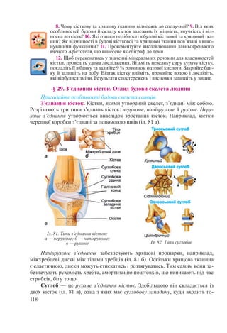118
8. Чому кісткову та хрящову тканини відносять до сполучної? 9. Від яких
особливостей будови й складу кісток залежить їх міцність, гнучкість і від-
носна легкість? 10. Які ознаки подібності в будові кісткової та хрящової тка-
нин? Як відмінності в будові кісткової та хрящової тканин пов’язані з вико-
нуваними функціями? 11. Прокоментуйте висловлювання давньогрецького
вченого Арістотеля, що винесене як епіграф до теми.
12. Щоб переконатись у значенні мінеральних речовин для властивостей
кістки, проведіть удома дослідження. Візьміть невелику сиру курячу кістку,
покладіть її в банку та залийте 9 % розчином оцтової кислоти. Закрийте бан-
ку й залишіть на добу. Відтак кістку вийміть, промийте водою і дослідіть,
які відбулися зміни. Результати спостережень і висновки запишіть у зошит.
§ 29. З’єднання кісток. Огляд будови скелета людини
Пригадайте особливості будови скелета ссавців.
З’єднання кісток. Кістки, якими утворений скелет, з’єднані між собою.
Розрізняють три типи з’єднань кісток: нерухоме, напіврухоме й рухоме. Неру-
хоме з’єднання утворюється внаслідок зростання кісток. Наприклад, кістки
черепної коробки з’єднані за допомогою швів (іл. 81 а).
Напіврухоме з’єднання забезпечують хрящові прошарки, наприклад,
міжхребцеві диски між тілами хребців (іл. 81 б). Оскільки хрящова тканина
є еластичною, диски можуть стискатись і розтягуватись. Тим самим вони за-
безпечують рухомість хребта, амортизацію поштовхів, що виникають під час
стрибків, бігу тощо.
Суглоб — це рухоме з’єднання кісток. Здебільшого він складається із
двох кісток (іл. 81 в), одна з яких має суглобову западину, куди входить го-
Іл. 81. Типи з’єднання кісток:
а — нерухоме; б — напіврухоме;
в — рухоме Іл. 82. Типи суглобів
 