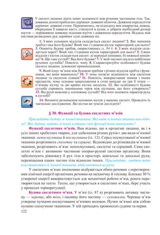 122
У скелеті людини діють певні залежності між різними частинами тіла. Так,
довжина долоні приблизно дорівнює довжині обличчя. Довжина передпліччя
дорівнює довжині стопи. Переконатись, чи підходить вам шкарпетка, можна,
обернувши її навколо кисті, стиснутої в кулак, а дібрати необхідний розмір
взуття — порівнявши довжину підошви взуття з довжиною передпліччя. Віддаль між
кистями розведених рук дорівнює сумі довжини ніг.
1. З яких основних відділів складається скелет людини? 2. Яке значення
хребта і яка його будова? Який тип з’єднання кісток характерний для нього?
3. Опишіть будову хребця, скориставшись іл. 84 б. 4. З яких відділів скла-
дається череп? Який тип з’єднання кісток характерний для нього? 5. З яких
відділів і кісток складається скелет: а) верхньої кінцівки; б) нижньої кінців-
ки? 6. Що таке суглоб? Яка його будова? 7. У якій частині скелета найбільше
рухомих суглобів? Поясніть чому. 8. Схарактеризуйте особливості будови
скелета людини, зумовлені прямоходінням.
9. Який існує зв’язок між будовою хребців з різних відділів хребта і функ-
ціями, які вони виконують? 10. У чому полягає відмінність між скелетом
людини та скелетом ссавців? 11. Поясніть, використавши знання з інших
предметів, чому основне навантаження в стопі випадає на три її точки —
п’яткову кістку та дві крайні кістки заплесна. 12. Які особливості будови
суглоба сприяють зменшенню тертя між кістками, що його утворюють?
13. Які рухи можливі у плечовому суглобі? Від чого залежить характер руху
в суглобі?
14. Визначте розміщення основних кісток у вашому скелеті. Проведіть їх
тактильне дослідження. Які кістки ви зуміли дослідити?
§ 30. Функції та будова скелетних м’язів
Пригадайте будову м’язової тканини. Які види м’язових тканин вам відо-
мі? Яку будову мають м’язові клітини і які функції вони виконують?
Функції скелетних м’язів. Вам відомо, що в організмі людини, як і в
усіх інших хребетних тварин, для здійснення різних рухів є два види м’язової
тканини: непосмугована й посмугована (іл. 12). Серед посмугованої м’язової
тканини розрізняють скелетну та серцеву. Відповідно до різновидів м’язової
тканини, розрізняють м’язи: непосмуговані, скелетні та серцевий. Саме ске-
летні м’язи є активною частиною опорно-руховї системи організму. Вони
забезпечують рівновагу й рух тіла в просторі, ковтальні та дихальні рухи,
переміщення одних частин тіла відносно інших. Пригадайте, завдяки яким
властивостям м’язової тканини здійснюються ці рухи.
У скелетних м’язах інтенсивно відбувається обмін речовин з перетворен-
ням хімічної енергії органічних речовин на механічну й теплову. Близько 30 %
утвореної енергії використовується для механічної роботи м’яза, решта пере-
творюється на тепло. Тепло, що утворюється в скелетних м’язах, бере участь
у процесах терморегуляції.
Будова скелетного м’яза. У м’язі (іл. 87 а) розрізняють активну части-
ну — черевце, або тіло, і пасивну його частину — сухожилки. Черевце м’яза
утворене пучками посмугованих м’язових волокон. Пучки зв’язані між собою
пухкою сполучною тканиною. У ній проходять кровоносні судини та нерви.
 