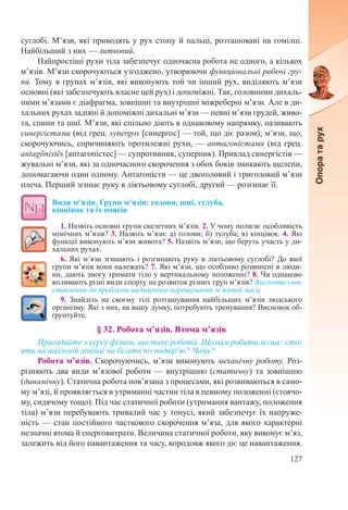 127
суглобі. М’язи, які приводять у рух стопу й пальці, розташовані на гомілці.
Найбільший з них — литковий.
Найпростіші рухи тіла забезпечує одночасна робота не одного, а кількох
м’язів. М’язи скорочуються узгоджено, утворюючи функціональні робочі гру-
пи. Тому в групах м’язів, які виконують той чи інший рух, виділяють м’язи
основні (які забезпечують власне цей рух) і допоміжні. Так, головними дихаль-
ними м’язами є діафрагма, зовнішні та внутрішні міжреберні м’язи. Але в ди-
хальних рухах задіяні й допоміжні дихальні м’язи — певні м’язи грудей, живо-
та, спини та шиї. М’язи, які спільно діють в однаковому напрямку, називають
синергістами (від грец. synergos [синергос] — той, що діє разом); м’язи, що,
скорочуючись, спричиняють протилежні рухи, — антагоністами (від грец.
antagōnistēs [антагоністес] — супротивник, суперник). Приклад синергістів —
жувальні м’язи, які за одночасного скорочення з обох боків змикають щелепи,
допомагаючи один одному. Антагоністи — це двоголовий і триголовий м’язи
плеча. Перший згинає руку в ліктьовому суглобі, другий — розгинає її.
Види м’язів. Групи м’язів: голови, шиї, тулуба,  
кінцівок та їх поясів
1. Назвіть основні групи скелетних м’язів. 2. У чому полягає особливість
мімічних м’язів? 3. Назвіть м’язи: а) голови; б) тулуба; в) кінцівок. 4. Які
функції виконують м’язи живота? 5. Назвіть м’язи, що беруть участь у ди-
хальних рухах.
6. Які м’язи згинають і розгинають руку в ліктьовому суглобі? До якої
групи м’язів вони належать? 7. Які м’язи, що особливо розвинені в люди-
ни, дають змогу тримати тіло у вертикальному положенні? 8. Чи однаково
впливають різні види спорту на розвиток різних груп м’язів? Висловте своє
ставлення до проблеми надмірного нарощування м’язової маси.
9.  Знайдіть на своєму тілі розташування найбільших м’язів людського
організму. Які з них, на вашу думку, потребують тренування? Висновок об-
ґрунтуйте.
§ 32. Робота м’язів. Втома м’язів
Пригадайте з курсу фізики, що таке робота. Що вам робити легше: сто-
яти на шкільній лінійці чи бігати по подвір’ю? Чому?
Робота м’язів. Скорочуючись, м’язи виконують механічну роботу. Роз-
різняють два види м’язової роботи  — внутрішню (статичну) та зовнішню
(динамічну). Статична робота пов’язана з процесами, які розвиваються в само-
му м’язі, й проявляється в утриманні частин тіла в певному положенні (стоячо-
му, сидячому тощо). Під час статичної роботи (утримання вантажу, положення
тіла) м’язи перебувають тривалий час у тонусі, який забезпечує їх напруже-
ність — стан постійного часткового скорочення м’яза, для якого характерні
незначні втома й енерговитрати. Величина статичної роботи, яку виконує м’яз,
залежить від його навантаження та часу, впродовж якого діє це навантаження.
 
