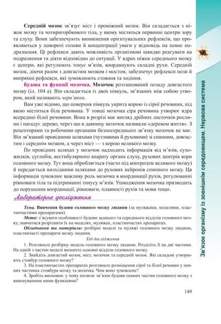 149
Середній мозок зв’язує міст і проміжний мозок. Він складається з ні-
жок мозку та чотиригорбкового тіла, у якому містяться первинні центри зору
та слуху. Вони забезпечують виникнення орієнтувальних рефлексів, що про-
являються у повороті голови й концентрації уваги у відповідь на певне по-
дразнення. Ці рефлекси дають можливість організмові швидко реагувати на
подразнення та діяти відповідно до ситуації. У ядрах ніжок середнього мозку
є центри, які регулюють тонус м’язів, координують складні рухи. Середній
мозок, діючи разом з довгастим мозком і мостом, забезпечує рефлекси пози й
випрямні рефлекси, які зумовлюють стояння та ходіння.
Будова та функції мозочка. Мозочок розташований позаду довгастого
мозку (іл. 104 а). Він складається із двох півкуль, зв’язаних між собою утво-
ром, який називають черв’яком.
Вам уже відомо, що поверхня півкуль укрита корою із сірої речовини, під
якою міститься біла речовина. У товщі мозочка сіра речовина утворює ядра
всередині білої речовини. Вона в розрізі має вигляд дрібних листочків росли-
ни і нагадує дерево, через що в давнину мозочок називали «деревом життя». З
рецепторами та робочими органами безпосереднього зв’язку мозочок не має.
Він зв’язаний провідними шляхами (чутливими й руховими) зі спинним, довгас-
тим і середнім мозком, а через міст — з корою великого мозку.
По провідних шляхах у мозочок надходить інформація від м’язів, сухо-
жилків, суглобів, вестибулярного апарату органа слуху, рухових центрів кори
головного мозку. Тут вона обробляється (часто під контролем великого мозку)
й передається низхідними шляхами до рухових нейронів спинного мозку. Ця
інформація зумовлює важливу роль мозочка в координації рухів, регулюванні
рівноваги тіла та підтриманні тонусу м’язів. Ушкодження мозочка призводить
до порушення координації, рівноваги, плавності рухів та мови тощо.
Тема. Вивчення будови головного мозку людини (за муляжами, моделями, плас-
тинчастими препаратами).
Мета: з’ясувати особливості будови заднього та середнього відділів головного моз-
ку; навчитися розрізняти їх на моделях, муляжах, пластинчастих препаратах.
Обладнання та матеріали:  розбірні моделі та муляжі головного мозку людини,
пластинчасті препарати мозку людини.
Хід дослідження
1. Розгляньте розбірну модель головного мозку людини. Розділіть її на дві частини.
На одній з частин моделі визначте основні відділи головного мозку.
2. Знайдіть довгастий мозок, міст, мозочок та середній мозок. Які складові утворю-
ють стовбур головного мозку?
3. На пластинчастих препаратах розгляньте розміщення сірої та білої речовин у пев-
них частинах стовбура мозку та мозочка. Чим воно зумовлене?
4. Зробіть висновок: у чому полягає зв’язок будови певних частин головного мозку з
виконуваними ними функціями?
 