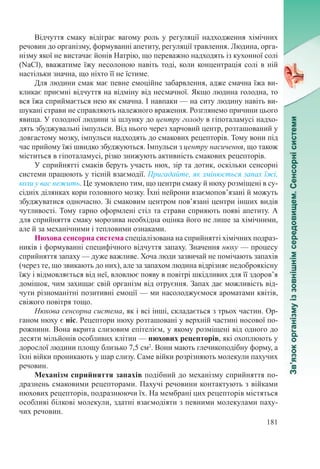 181
Відчуття смаку відіграє вагому роль у регуляції надходження хімічних
речовин до організму, формуванні апетиту, регуляції травлення. Людина, орга-
нізму якої не вистачає йонів Натрію, що переважно надходять із кухонної солі
(NaCl), вважатиме їжу несолоною навіть тоді, коли концентрація солі в ній
настільки значна, що ніхто її не їстиме.
Для людини смак має певне емоційне забарвлення, адже смачна їжа ви-
кликає приємні відчуття на відміну від несмачної. Якщо людина голодна, то
вся їжа сприймається нею як смачна. І навпаки — на ситу людину навіть ви-
шукані страви не справляють належного враження. Розглянемо причини цього
явища. У голодної людини зі шлунку до центру голоду в гіпоталамусі надхо-
дять збуджувальні імпульси. Від нього через харчовий центр, розташований у
довгастому мозку, імпульси надходять до смакових рецепторів. Тому вони під
час прийому їжі швидко збуджуються. Імпульси з центру насичення, що також
міститься в гіпоталамусі, різко знижують активність смакових рецепторів.
У сприйнятті смаків беруть участь нюх, зір та дотик, оскільки сенсорні
системи працюють у тісній взаємодії. Пригадайте, як змінюється запах їжі,
коли у вас нежить. Це зумовлено тим, що центри смаку й нюху розміщені в су-
сідніх ділянках кори головного мозку. Їхні нейрони взаємопов’язані й можуть
збуджуватися одночасно. Зі смаковим центром пов’я­зані центри інших видів
чутливості. Тому гарно оформлені стіл та страви сприяють появі апетиту. А
для сприйняття смаку морозива необхідна оцінка його не лише за хімічними,
але й за механічними і тепловими ознаками.
Нюхова сенсорна система спеціалізована на сприйнятті хімічних подраз-
ників і формуванні специфічного відчуття запаху. Значення нюху — процесу
сприйняття запаху — дуже важливе. Хоча люди зазвичай не помічають запахів
(через те, що звикають до них), але за запахом людина відрізняє недоброякісну
їжу і відмовляється від неї, вловлює появу в повітрі шкідливих для її здоров’я
домішок, чим захищає свій організм від отруєння. Запах дає можливість від-
чути різноманітні позитивні емоції — ми насолоджуємося ароматами квітів,
свіжого повітря тощо.
Нюхова сенсорна система, як і всі інші, складається з трьох частин. Ор-
ганом нюху є ніс. Рецептори нюху розташовані у верхній частині носової по-
рожнини. Вона вкрита слизовим епітелієм, у якому розміщені від одного до
десяти мільйонів особливих клітин — нюхових рецепторів, які охоплюють у
дорослої людини площу близько 7,5 см2
. Вони мають глечикоподібну форму, а
їхні війки проникають у шар слизу. Саме війки розрізняють молекули пахучих
речовин.
Механізм сприйняття запахів подібний до механізму сприйняття по-
дразнень смаковими рецепторами. Пахучі речовини контактують з війками
нюхових рецепторів, подразнюючи їх. На мембрані цих рецепторів містяться
особливі білкові молекули, здатні взаємодіяти з певними молекулами паху-
чих речовин.
 