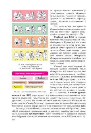 190
ки. Урівноваженість виявляється у
співвідношенні процесів збудження
та гальмування. Рухливість нервових
процесів  — це швидкість переходу
процесу збудження в гальмування, і
навпаки.
Так, залежно від сили процесів
збудження і гальмування, можна виді-
лити два типи вищої нервової діяль-
ності — сильний і слабкий (іл. 125).
Слабкий тип ВНД не здатний
розвивати сильні збуджувальні й галь-
мівні процеси. Нервові клітини швид-
ко стомлюються та дуже легко галь-
муються. Тому в організмі зі слабким
типом особливо легко виникає галь-
мування, що охоплює великі ділянки
кори великих півкуль. Формування
збуджувальних рефлексів відбувається
повільно, і вони хиткі, а гальмівні реф-
лекси — стійкі.
Сильний тип вищої нервової ді-
яльності здатний розвивати сильні
збуджувальні й гальмівні процеси. Він
може бути врівноваженим і неврівно-
важеним. Сильний неврівноваже-
ний тип ВНД характеризується тим,
що збудження клітин кори головного
мозку є сильнішим, ніж гальмування.
Формування збуджувальних рефлек-
сів відбувається швидко, а гальмів-
них  — повільно. Сильний урівно-
важений тип ВНД характеризується оптимальним співвідношенням сили
процесів збудження і гальмування. Він може бути рухливим та інертним (не-
рухливим), залежно від швидкості зміни нервових процесів. На основі ви-
вчення взаємозв’язків збудження і гальмування та поєднання їхніх показників
Іван Павлов виділив чотири основні типи вищої нервової діяльності (іл. 125).
Індивідуальну особливість людини, що виявляється в її збудливості, емо-
ційній вразливості, урівноваженості та швидкості перебігу психічної діяль-
ності, називають темпераментом. Тобто темперамент є зовнішнім проявом
вищої нервової діяльності, а його тип визначається типом ВНД (див. табл. 8).
Іл. 124. Реакція різних людей
на ту саму ситуацію
(за малюнком Х. Бідструпа)
Іл. 125. Типи вищої нервової діяльності
 
