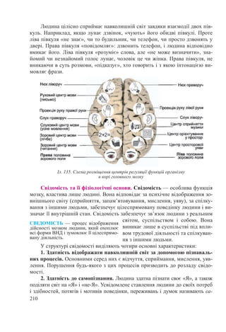 210
Людина цілісно сприймає навколишній світ завдяки взаємодії двох пів-
куль. Наприклад, якщо лунає дзвінок, «чують» його обидві півкулі. Проте
ліва півкуля «не знає», чи то будильник, чи телефон, чи просто дзвонять у
двері. Права півкуля «повідомляє»: дзвонить телефон, і людина відповідно
вмикає його. Ліва півкуля «розуміє» слова, але «не може визначити», зна-
йомий чи незнайомий голос лунає, чоловік це чи жінка. Права півкуля, не
вникаючи в суть розмови, «підказує», хто говорить і з якою інтонацією ви-
мовляє фрази.
Свідомість та її фізіологічні основи. Свідомість — особлива функція
мозку, властива лише людині. Вона відповідає за психічне відображення зо-
внішнього світу (сприйняття, запам’ятовування, мислення, уяву), за спілку-
вання з іншими людьми, забезпечує цілеспрямовану поведінку людини і ви-
значає її внутрішній стан. Свідомість забезпечує зв’язок людини з реальним
світом, суспільством і собою. Вона
виникає лише в суспільстві під впли-
вом трудової діяльності та спілкуван-
ня з іншими людьми.
У структурі свідомості виділяють чотири основні характеристики:
1. Здатність відображати навколишній світ за допомогою пізнаваль-
них процесів. Основними серед них є відчуття, сприймання, мислення, уяв-
лення. Порушення будь-якого з цих процесів призводить до розладу свідо-
мості.
2. Здатність до самопізнання. Людина здатна пізнати своє «Я», а також
поділяти світ на «Я» і «не-Я». Усвідомлене ставлення людини до своїх потреб
і здібностей, потягів і мотивів поведінки, переживань і думок називають са-
Іл. 135. Схема розміщення центрів регуляції функцій організму
в корі головного мозку
СВІДОМІСТЬ  — процес відображення
дійсності мозком людини, який охоплює
всі форми ВНД і зумовлює її цілеспрямо-
вану діяльність.
 