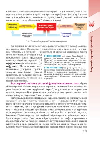 225
Водночас зменшується виділення глюкагону (іл. 139). І навпаки, коли змен-
шується рівень глюкози в крові, знижується вироблення інсуліну й підви-
щується вироблення — глюкагону — гормону, який зумовлює вивільнення
глюкози з клітин та збільшення її кількості в крові.
Дія гормонів визначається стадією розвитку організму, його фізіологіч-
ним станом, віком. Наприклад, у підлітковому віці зростає кількість стате-
вих гормонів, а в літньому — знижується. В організмі злагоджена робота
залоз внутрішньої секреції іноді
порушується: залози продукують
надмірну кількість гормонів (гі-
перфункція) або недостатню (гі-
пофункція). Як недостатнє, так і
надлишкове утворення гормонів
залозами внутрішньої секреції
призводить до порушень життєді-
яльності організму та виникнення
важких захворювань.
Роль нервової системи в регуляції функцій ендокринних залоз. Функ-
ції ендокринної системи регулюються нервовою системою. Вона надсилає не-
рвові імпульси до залоз внутрішньої секреції, які у відповідь на подразнення
виділяють гормони. Вони розносяться кров’ю до різних органів, тканин і клі-
тин організму та регулюють їхню діяльність.
Регулювальний вплив центральної нервової системи на діяльність залоз
здійснюється через структуру головного мозку — гіпоталамус. Він через не-
рви та кровоносні судини пов’язаний із головною залозою внутрішньої секре-
ції — гіпофізом, що є структурним елементом проміжного мозку. Гіпотала-
мус — важливий складник проміжного мозку, сполучна ланка між нервовою
та ендокринною системами, оскільки здатний виробляти і нервові імпульси,
і гормони. Гіпоталамус містить особливі нейросекреторні клітини, які виро-
бляють нейрогормони. Деякі з цих нейрогормонів через гіпофіз потрапляють у
кров і беруть участь у регуляції діяльності внутрішніх органів. Значна частина
нейрогормонів лише стимулює виділення гіпофізом власних гормонів, які ре-
гулюють роботу інших залоз внутрішньої секреції. Отже, гіпофіз виконує свої
ГІПОФУНКЦІЯ (від грец. hypo [гіпо]  —
префікс, що означає зниження; лат. functio
[функціо] — виконання, звершення) — не-
достатня діяльність залози, що призводить
до зменшення виділення нею гормонів.
ГІПЕРФУНКЦІЯ (від грец. hiper [гіпер] —
префікс, що означає підвищення; лат. functio
[функціо] — виконання, звершення) — по-
силення діяльності залози, що призводить
до надмірного збільшення виділення нею
гормонів.
Іл. 139. Механізм регуляції виділення гормонів
 
