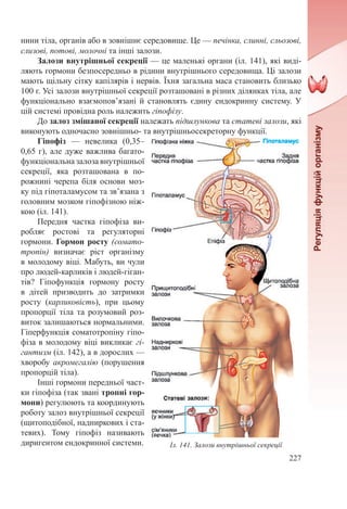 227
нини тіла, органів або в зовнішнє середовище. Це — печінка, слинні, сльозові,
слизові, потові, молочні та інші залози.
Залози внутрішньої секреції — це маленькі органи (іл. 141), які виді-
ляють гормони безпосередньо в рідини внутрішнього середовища. Ці залози
мають щільну сітку капілярів і нервів. Їхня загальна маса становить близько
100 г. Усі залози внутрішньої секреції розташовані в різних ділянках тіла, але
функціонально взаємопов’язані й становлять єдину ендокринну систему. У
цій системі провідна роль належить гіпофізу.
До залоз змішаної секреції належать підшлункова та статеві залози, які
виконують одночасно зовнішньо- та внутрішньосекреторну функції.
Гіпофіз  — невелика (0,35–
0,65 г), але дуже важлива багато-
функціональна залоза внутрішньої
секреції, яка розташована в по-
рожнині черепа біля основи моз-
ку під гіпоталамусом та зв’язана з
головним мозком гіпофізною ніж-
кою (іл. 141).
Передня частка гіпофіза ви-
робляє ростові та регуляторні
гормони. Гормон росту (сомато-
тропін) визначає ріст організму
в молодому віці. Мабуть, ви чули
про людей-карликів і людей-гіган-
тів? Гіпофункція гормону росту
в дітей призводить до затримки
росту (карликовість), при цьому
пропорції тіла та розумовий роз-
виток залишаються нормальними.
Гіперфункція соматотропіну гіпо-
фіза в молодому віці викликає гі-
гантизм (іл. 142), а в дорослих —
хворобу акромегалію (порушення
пропорцій тіла).
Інші гормони передньої част-
ки гіпофіза (так звані тропні гор-
мони) регулюють та координують
роботу залоз внутрішньої секреції
(щитоподібної, надниркових і ста-
тевих). Тому гіпофіз називають
диригентом ендокринної системи. Іл. 141. Залози внутрішньої секреції
 