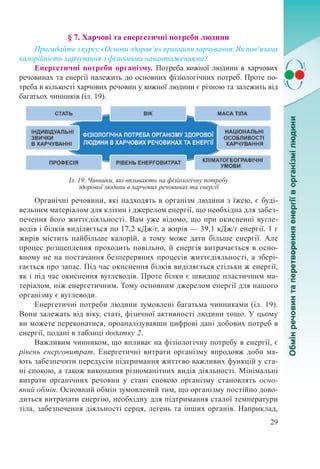 29
§ 7. Харчові та енергетичні потреби людини
Пригадайте з курсу «Основи здоров’я» принципи харчування. Як пов’язана
калорійність харчування з фізичними навантаженнями?
Енергетичні потреби організму. Потреба кожної людини в харчових
речовинах та енергії належить до основних фізіологічних потреб. Проте по-
треба в кількості харчових речовин у кожної людини є різною та залежить від
багатьох чинників (іл. 19).
Органічні речовини, які надходять в організм людини з їжею, є буді-
вельним матеріалом для клітин і джерелом енергії, що необхідна для забез-
печення його життєдіяльності. Вам уже відомо, що при окисненні вугле-
водів і білків виділяється по 17,2 кДж/г, а жирів — 39,1 кДж/г енергії. 1 г
жирів містить найбільше калорій, а тому може дати більше енергії. Але
процес розщеплення проходить повільно, й енергія витрачається в осно-
вному не на постачання безперервних процесів життєдіяльності, а збері-
гається про запас. Під час окиснення білків виділяється стільки ж енергії,
як і під час окиснення вуглеводів. Проте білки є швидше пластичним ма-
теріалом, ніж енергетичним. Тому основним джерелом енергії для нашого
організму є вуглеводи.
Енергетичні потреби людини зумовлені багатьма чинниками (іл. 19).
Вони залежать від віку, статі, фізичної активності людини тощо. У цьому
ви можете переконатися, проаналізувавши цифрові дані добових потреб в
енергії, подані в таблиці додатку 2.
Важливим чинником, що впливає на фізіологічну потребу в енергії, є
рівень енерговитрат. Енергетичні витрати організму впродовж доби ма-
ють забезпечити передусім підтримання життєво важливих функцій у ста-
ні спокою, а також виконання різноманітних видів діяльності. Мінімальні
витрати органічних речовин у стані спокою організму становлять осно-
вний обмін. Основний обмін зумовлений тим, що організму постійно дово-
диться витрачати енергію, необхідну для підтримання сталої температури
тіла, забезпечення діяльності серця, легень та інших органів. Наприклад,
Іл. 19. Чинники, які впливають на фізіологічну потребу
здорової людини в харчових речовинах та енергії
 