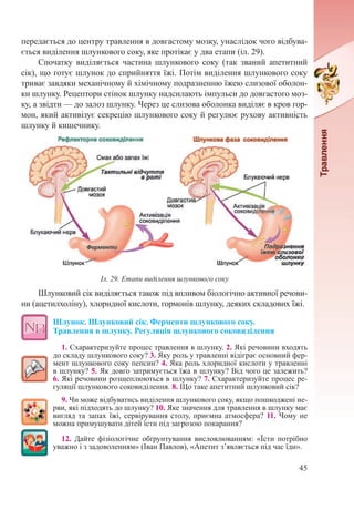 45
передається до центру травлення в довгастому мозку, унаслідок чого відбува-
ється виділення шлункового соку, яке протікає у два етапи (іл. 29).
Спочатку виділяється частина шлункового соку (так званий апетитний
сік), що готує шлунок до сприйняття їжі. Потім виділення шлункового соку
триває завдяки механічному й хімічному подразненню їжею слизової оболон-
ки шлунку. Рецептори стінок шлунку надсилають імпульси до довгастого моз-
ку, а звідти — до залоз шлунку. Через це слизова оболонка виділяє в кров гор-
мон, який активізує секрецію шлункового соку й регулює рухову активність
шлунку й кишечнику.
Шлунковий сік виділяється також під впливом біологічно активної речови-
ни (ацетилхоліну), хлоридної кислоти, гормонів шлунку, деяких складових їжі.
Шлунок. Шлунковий сік. Ферменти шлункового соку.  
Травлення в шлунку. Регуляція шлункового соковиділення
1. Схарактеризуйте процес травлення в шлунку. 2. Які речовини входять
до складу шлункового соку? 3. Яку роль у травленні відіграє основний фер-
мент шлункового соку пепсин? 4. Яка роль хлоридної кислоти у травленні
в шлунку? 5. Як довго затримується їжа в шлунку? Від чого це залежить?
6. Які речовини розщеплюються в шлунку? 7. Схарактеризуйте процес ре-
гуляції шлункового соковиділення. 8. Що таке апетитний шлунковий сік?
9. Чи може відбуватись виділення шлункового соку, якщо пошкоджені не-
рви, які підходять до шлунку? 10. Яке значення для травлення в шлунку має
вигляд та запах їжі, сервірування столу, приємна атмосфера? 11. Чому не
можна примушувати дітей їсти під загрозою покарання?
12. Дайте фізіологічне обґрунтування висловлюванням: «Їсти потрібно
уважно і з задоволенням» (Іван Павлов), «Апетит з’являється під час їди».
Іл. 29. Етапи виділення шлункового соку
 