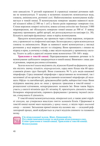 48
ною швидкістю. У ротовій порожнині й стравоході поживні речовини май-
же не всмоктуються. У шлунку в незначних кількостях всмоктуються вода,
глюкоза, амінокислоти, розчинні солі. Найінтенсивніше всмоктування відбу-
вається в тонкій кишці. Її всмоктувальна поверхня завдяки наявності вели-
кої кількості війок (2 500 на 1 см2
) у багато разів перевищує поверхню тіла.
Стінки ворсинок покриті епітелієм, кожна клітина епітелію має близько 3 000
мікроворсинок, які збільшують поверхню тонкої кишки до 500 м2
. У кожну
ворсинку проникають дрібні артерії, які розгалужуються на капіляри (іл. 30).
Більшість капілярів функціонує лише в період всмоктування.
Продукти всмоктування, що проникли через стінки ворсинок, потрапля-
ють у кровоносні та лімфатичні капіляри. Безпосередньо у кров всмоктуються
глюкоза та амінокислоти. Жири за наявності жовчі всмоктуються у вигляді
розчинних у воді жирних кислот та гліцерину. Вони проникають з кишки не
відразу в кров, а спочатку в лімфу, а вже звідти надходять у кровоносну систе-
му. Усього за добу в дорослої людини може всмоктатися 150–160 г жиру.
Травлення в товстій кишці. Перетравлювання поживних речовин та їх
всмоктування здебільшого завершуються в тонкій кишці. Винятком є лише дея-
кі речовини, зокрема рослинна клітковина.
Залози товстої кишки виділяють сік, відносно бідний на ферменти, проте
він містить значну кількість мікроорганізмів, серед яких більш ніж 60 пред-
ставників різних груп бактерій. Вони становлять 96 % усіх видів кишкової
мікрофлори. Серед кишкової мікрофлори є представники як позитивної, так і
негативної дії на організм. До представників позитивної мікрофлори дії нале-
жать: біфідо- та лактобактерії, дріжджоподібні гриби, найпростіші тощо. Вони
відіграють важливу роль не лише у процесах травлення в товстій кишці —
розщепленні клітковини, неперетравлених залишків їжі. Вони також беруть
участь у синтезі вітамінів груп В і вітаміну К, пригнічують діяльність хворо-
ботворних мікроорганізмів, сприяють формуванню і розвитку імунної систе-
ми, стимулюють її діяльність.
У товстій кишці всмоктуються вода, мінеральні солі, а також деякі отруй-
ні сполуки, що утворилися внаслідок гниття залишків білків. Сформовані в
товстій кишці калові маси надходять у пряму кишку, а звідти через анальний
отвір — назовні. Звільнення прямої кишки від калових мас — складний реф-
лекторний процес, який відбувається за участі відділів спинного та головного
мозку.
Сік підшлункової залози. Жовч. Кишковий сік.  
Регуляція жовчовиділення та виділення підшлункового соку.
Етапи травлення в тонкій кишці. Травлення в товстій кишці.
Всмоктування
 