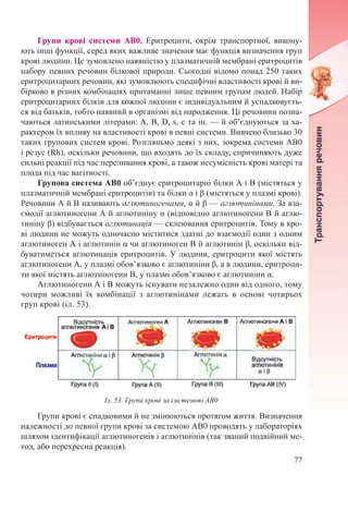 77
Групи крові системи АВ0. Еритроцити, окрім транспортної, викону-
ють інші функції, серед яких важливе значення має функція визначення груп
крові людини. Це зумовлено наявністю у плазматичній мембрані еритроцитів
набору певних речовин білкової природи. Сьогодні відомо понад 250 таких
еритроцитарних речовин, які зумовлюють специфічні властивості крові й ви-
бірково в різних комбінаціях притаманні лише певним групам людей. Набір
еритроцитарних білків для кожної людини є індивідуальним й успадковуєть-
ся від батьків, тобто наявний в організмі від народження. Ці речовини позна-
чаються латинськими літерами: A, B, D, s, c та ін. — й об’єднуються за ха-
рактером їх впливу на властивості крові в певні системи. Вивчено близько 30
таких групових систем крові. Розгляньмо деякі з них, зокрема системи АВ0
і резус (Rh), оскільки речовини, що входять до їх складу, спричиняють дуже
сильні реакції під час переливання крові, а також несумісність крові матері та
плода під час вагітності.
Групова система АВ0 об’єднує еритроцитарні білки А і В (містяться у
плазматичній мембрані еритроцитів) та білки α і β (містяться у плазмі крові).
Речовини А й В називають аглютиногенами, α й β — аглютинінами. За вза-
ємодії аглютиногени А й аглютиніну α (відповідно аглютиногени В й аглю-
тиніну β) відбувається аглютинація — склеювання еритроцитів. Тому в кро-
ві людини не можуть одночасно міститися здатні до взаємодії один з одним
аглютиноген А і аглютинін α чи аглютиноген В й аглютинін β, оскільки від-
буватиметься аглютинація еритроцитів. У людини, еритроцити якої містять
аглютиногени А, у плазмі обов’язково є аглютиніни β, а в людини, еритроци-
ти якої містять аглютиногени В, у плазмі обов’язково є аглютиніни α.
Аглютиногени А і В можуть існувати незалежно один від одного, тому
чотири можливі їх комбінації з аглютинінами лежать в основі чотирьох
груп крові (іл. 53).
Групи крові є спадковими й не змінюються протягом життя. Визначення
належності до певної групи крові за системою АВ0 проводять у лабораторіях
шляхом ідентифікації аглютиногенів і аглютинінів (так званий подвійний ме-
тод, або перехресна реакція).
Іл. 53. Групи крові за системою АВ0
 