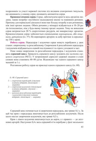 83
подразників та участі нервової системи під впливом електричних імпульсів,
що виникають у самому серці, називають автоматією серця.
Кровопостачання серця. Серце, забезпечуючи кров’ю весь організм лю-
дини, також потребує постійного надходження кисню та поживних речовин.
Причому для нормальної діяльності воно має більшу потребу в цих речовинах,
ніж інші органи людини. Обмін речовин у міокарді відбувається в 10–20 ра-
зів інтенсивніше, ніж у будь-якому іншому органі людини. Тому на живлення
серця витрачається 20 % енергетичних ресурсів, які використовує організм.
Кровопостачання серця здійснюється спеціальними коронарними, або вінце-
вими, артеріями (іл. 57). По коронарних артеріях за добу протікає в середньо-
му 350 л крові.
Робота серця. Передсердя і шлуночки серця можуть перебувати у двох
станах: скороченому та розслабленому. Скорочення й розслаблення передсердь
і шлуночків відбуваються в певній послідовності та строго узгоджені в часі.
Одне повне скорочення та розслаблення передсердь і шлуночків стано-
вить серцевий цикл. Тривалість серцевого циклу залежить від частоти сер-
цевого скорочення (ЧСС). У нетренованої дорослої здорової людини в стані
спокою вона становить 60–80 уд/хв. Відповідно час одного серцевого циклу
менший за 1 с.
Розгляньмо роботу серця на прикладі одного серцевого циклу (іл. 60).
Серцевий цикл починається зі скорочення передсердь, яке триває 0,1 с. За
цей час кров з передсердь виштовхується до розслаблених шлуночків. Після
цього настає скорочення шлуночків, яке триває 0,3 с.
Кров з лівого шлуночка виштовхується до аорти, а з правого — до леге-
невих артерій. Наступних 0,4 с весь серцевий м’яз перебуває у фазі загального
Іл. 60. Серцевий цикл:
1 — скорочення передсердь (стулкові
клапани відкриті, півмісяцеві —
закриті);
2 — скорочення шлуночків (півмісяцеві
клапани відкриті, стулкові —
закриті);
3 — загальне розслаблення передсердь
і шлуночків (стулкові клапани
відкриті, півмісяцеві — закриті).
 