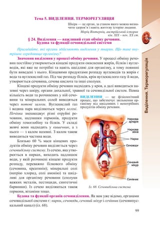 99
Тема 5. ВИДІЛЕННЯ. ТЕРМОРЕГУЛЯЦІЯ
Шкіра — це орган, за станом якого можна визна-
чити здоров’я і навіть життєву історію людини.
Моріц Вінтерніц, австрійський історик
кін. ХІХ – поч. ХХ ст.
§ 24. Виділення — важливий етап обміну речовин.  
Будова та функції сечовидільної системи
Пригадайте, які органи здійснюють виділення у тварин. Що таке вну-
трішнє середовище організму?
Значення виділення у процесі обміну речовин. У процесі обміну речо-
вин постійно утворюються кінцеві продукти окиснення жирів, білків і вугле-
водів, які вже не потрібні та навіть шкідливі для організму, а тому повинні
бути виведені з нього. Кінцевими продуктами розпаду вуглеводів та жирів є
вода та вуглекислий газ. Під час розпаду білків, крім вуглекислого газу й води,
утворюється сечовина, сечова кислота та інші сполуки.
Кінцеві продукти обміну речовин надходять у кров, а далі виводяться на-
зовні через шкіру, органи дихальної, травної та сечовидільної систем. Певна
кількість води та розчинених у ній сечо-
вини та мінеральних солей виводяться
через потові залози. Вуглекислий газ
і водяна пара виділяються через легені.
Печінка знешкоджує різні отруйні ре-
човини, надлишки гормонів, продукти
обміну гемоглобіну та білків. У складі
жовчі вони надходять у кишечник, а з
нього — з калом назовні. З калом також
виводиться частина води.
Близько 60  % маси кінцевих про-
дуктів обміну речовин виділяється через
сечовидільну систему. Із сечею, яка утво-
рюється в нирках, виходить надлишок
води, у якій розчинені кінцеві продукти
розпаду, переважно білкового обміну
(сечовина, креатинін); мінеральні солі
(натрію хлорид, солі амонію) та шкід-
ливі для організму речовини (сполуки
важких металів, пестициди, синтетичні
барвники). Із сечею виділяються також
гормони, вітаміни тощо.
Будова та функції органів сечовиділення. Як вам уже відомо, органами
сечовидільної системи є: нирки, сечоводи, сечовий міхур і сечівник (сечовипус-
кальний канал) (іл. 68).
Іл. 68. Сечовидільна система
ВИДІЛЕННЯ  — це фізіологічний
процес, що забезпечує звільнення ор-
ганізму від шкідливих і непотрібних
продуктів обміну речовин.
 