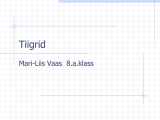 Tiigrid Mari-Liis Vaas  8.a.klass 