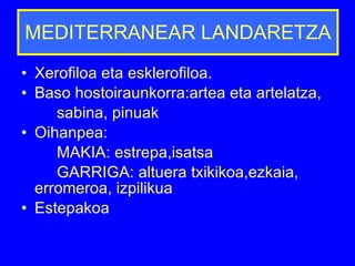 MEDITERRANEAR LANDARETZA Xerofiloa eta esklerofiloa. Baso hostoiraunkorra:artea eta artelatza, sabina, pinuak Oihanpea: MAKIA: estrepa,isatsa GARRIGA: altuera txikikoa,ezkaia, erromeroa, izpilikua Estepakoa 