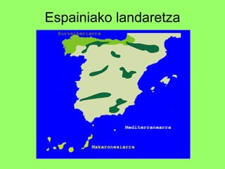 Espainiako landaretza 