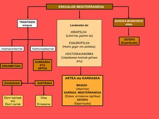 ESKUALDE MEDITERRANEOA BARDEA-MONEGROS aldea TRANTSIZIO eremua Hostoerorkorrak Hostoiraunkorrak ERKAMETZAK KARRASKA ETA ARTEA ZUHAIXKAK SASTRAKA ARTEA eta KARRASKA MAQUIA  (Abaritza) GARRIGA  MEDITERRANEOA (Ezkaia, erromeroa izpilikua) ESTEPA (Espartzudia) Landaretza da: XEROFILOA  (Lehortea jasaten du) ESKLEROFILOA (Hosto gogor eta zailekoa)  HOSTOIRAUNKORRA (Udazkenean hostoak galtzen ditu) Elorri beltzak eta Elorri zuriak Otea Erromeroa ESTEPA (Espartzudia) 