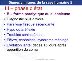 Mapaq Rage Signe Comprehensive Overview of Rabies: Causes, Symptoms, Diagnosis, and ...