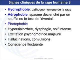 Mapaq Rage Signe Comprehensive Overview of Rabies: Causes, Symptoms, Diagnosis, and ...