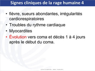 Mapaq Rage Signe Comprehensive Overview of Rabies: Causes, Symptoms, Diagnosis, and ...