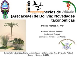 Las especies de Attalea
(Arecaceae) de Bolivia: Novedades
taxonómicas
Mónica Moraes R., PhD
Herbario Nacional de Bolivia
Instituto de Ecología
Universidad Mayor de San Andrés
Simposio Investigando palmeras sudamericanas – Un homenaje a Jean-Christophe Pintaud
Cusco, 11 de mayo de 2016
 