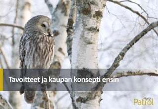 Tavoitteet ja kaupan konsepti ensin
 