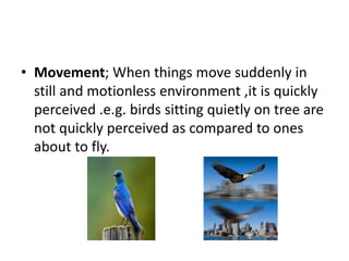 • Movement; When things move suddenly in
still and motionless environment ,it is quickly
perceived .e.g. birds sitting quietly on tree are
not quickly perceived as compared to ones
about to fly.
 