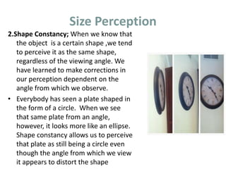 Size Perception
2.Shape Constancy; When we know that
the object is a certain shape ,we tend
to perceive it as the same shape,
regardless of the viewing angle. We
have learned to make corrections in
our perception dependent on the
angle from which we observe.
• Everybody has seen a plate shaped in
the form of a circle. When we see
that same plate from an angle,
however, it looks more like an ellipse.
Shape constancy allows us to perceive
that plate as still being a circle even
though the angle from which we view
it appears to distort the shape
 
