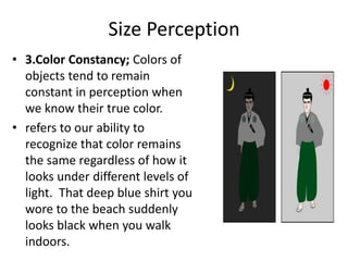 Size Perception
• 3.Color Constancy; Colors of
objects tend to remain
constant in perception when
we know their true color.
• refers to our ability to
recognize that color remains
the same regardless of how it
looks under different levels of
light. That deep blue shirt you
wore to the beach suddenly
looks black when you walk
indoors.
 
