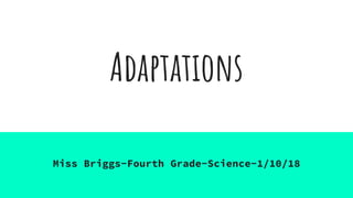Adaptations
Miss Briggs-Fourth Grade-Science-1/10/18
 