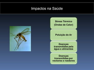 Impactos na Saúde
 