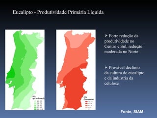 Eucalipto - Produtividade Primária Líquida



                                              Forte redução da
                                             produtividade no
                                             Centro e Sul, redução
                                             moderada no Norte


                                              Provável declínio
                                             da cultura do eucalipto
                                             e da industria da
                                             celulose




                                                      Fonte, SIAM
 